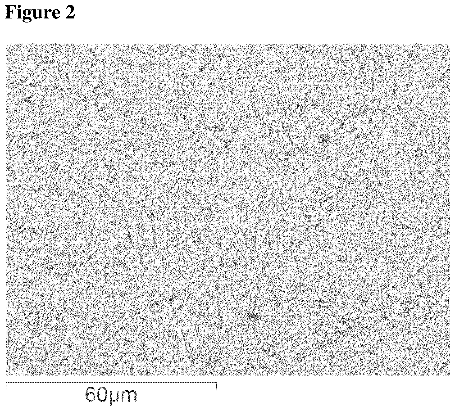 Patent US12318872 Figure 2 – Overlay welding material