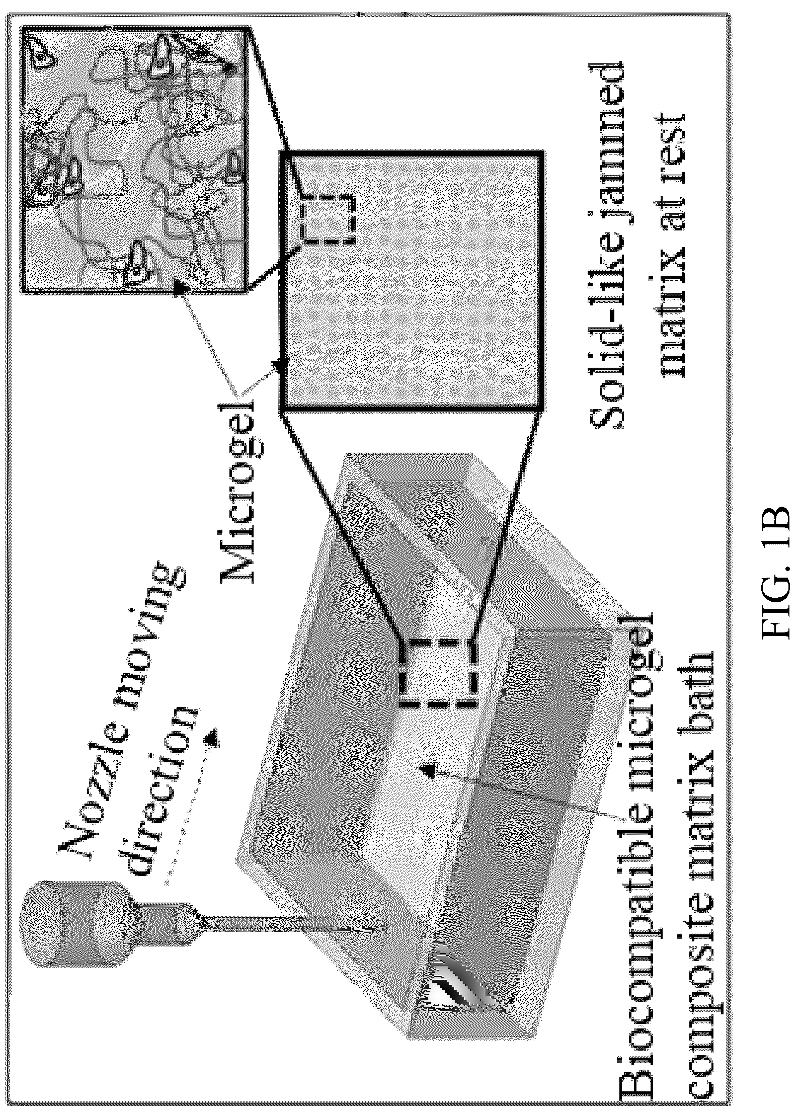 Patent US12318996 Figure 2 – Cross-linkable microgel composite matrix bath for embedded bioprinting of perfusable tissue constructs