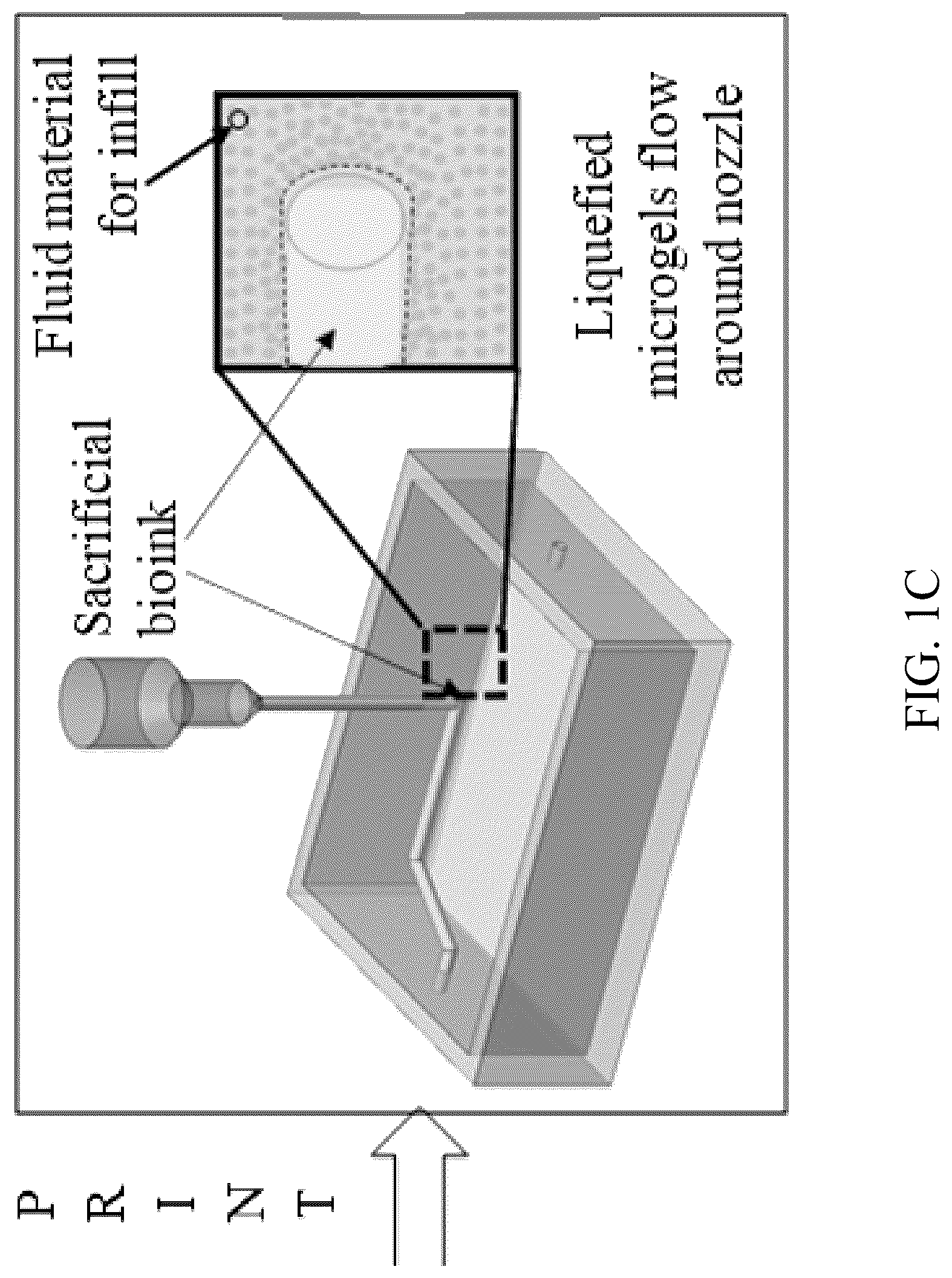 Patent US12318996 Figure 3 – Cross-linkable microgel composite matrix bath for embedded bioprinting of perfusable tissue constructs