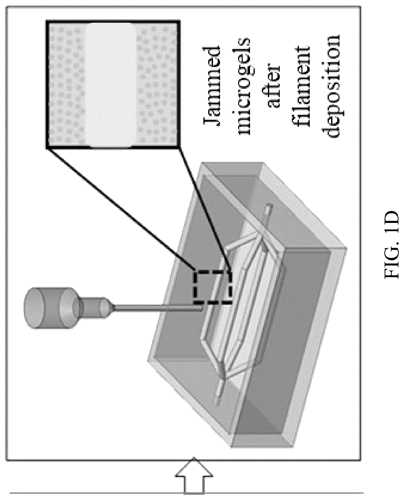 Patent US12318996 Figure 4 – Cross-linkable microgel composite matrix bath for embedded bioprinting of perfusable tissue constructs
