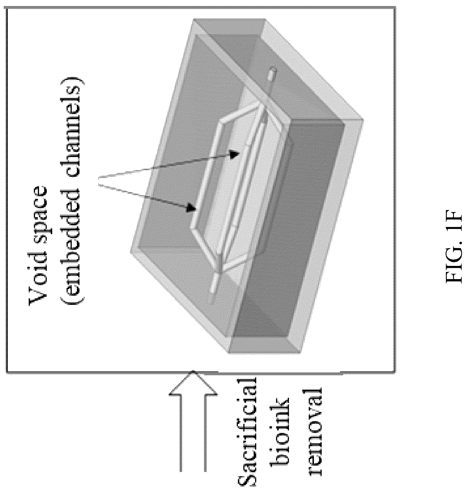 Patent US12318996 Figure 6 – Cross-linkable microgel composite matrix bath for embedded bioprinting of perfusable tissue constructs