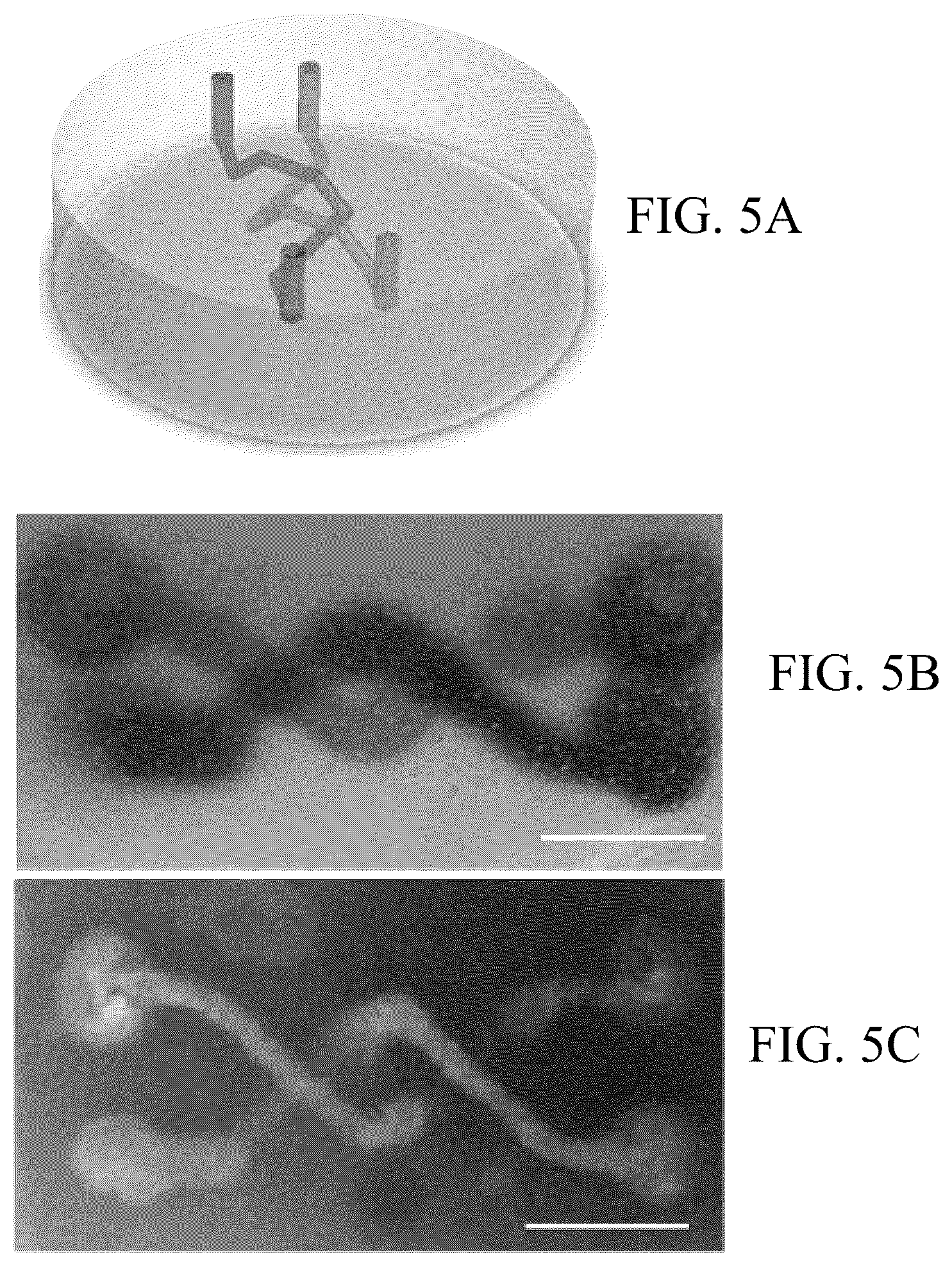 Patent US12318996 Figure 15 – Cross-linkable microgel composite matrix bath for embedded bioprinting of perfusable tissue constructs