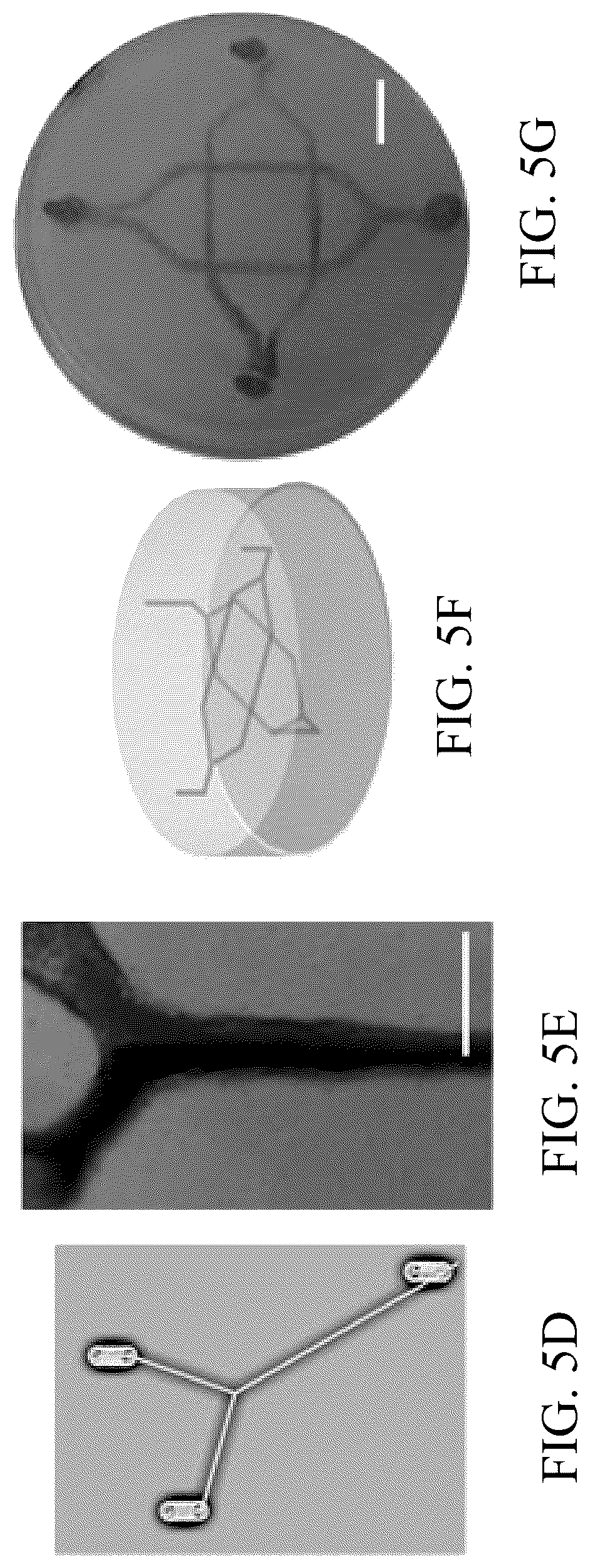 Patent US12318996 Figure 16 – Cross-linkable microgel composite matrix bath for embedded bioprinting of perfusable tissue constructs