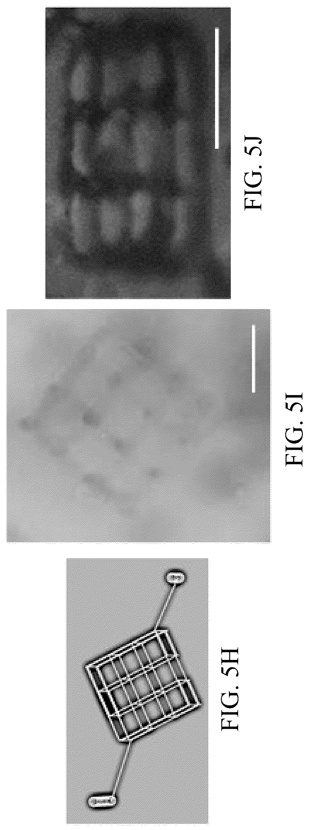 Patent US12318996 Figure 17 – Cross-linkable microgel composite matrix bath for embedded bioprinting of perfusable tissue constructs