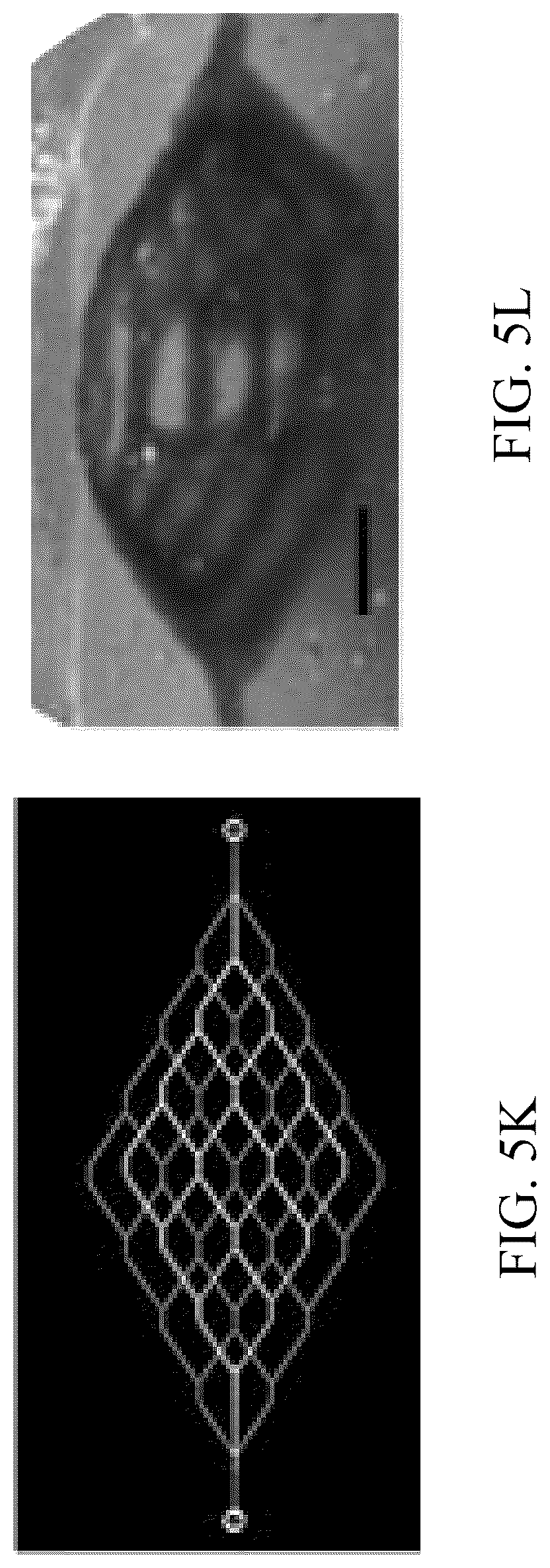 Patent US12318996 Figure 18 – Cross-linkable microgel composite matrix bath for embedded bioprinting of perfusable tissue constructs
