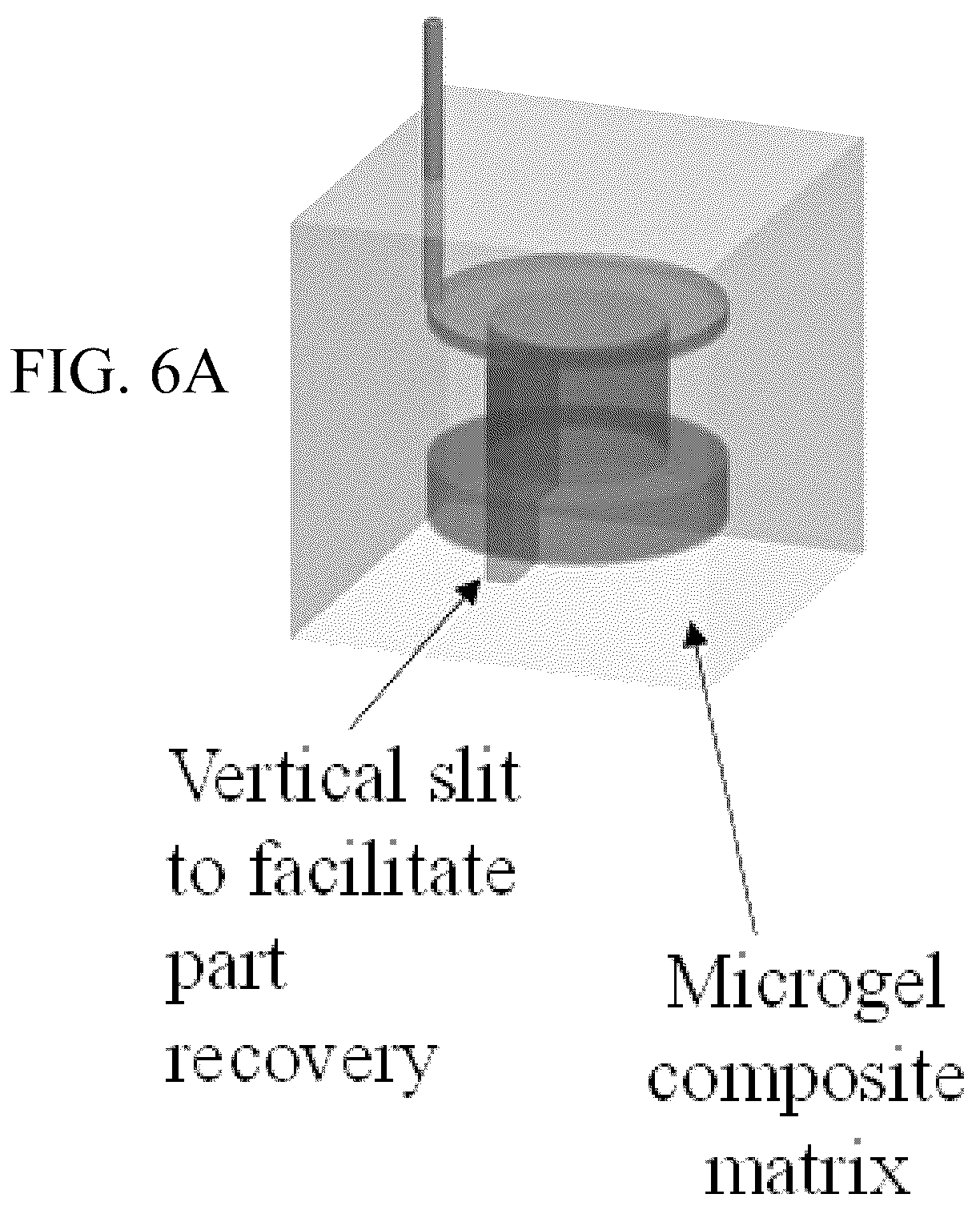 Patent US12318996 Figure 20 – Cross-linkable microgel composite matrix bath for embedded bioprinting of perfusable tissue constructs