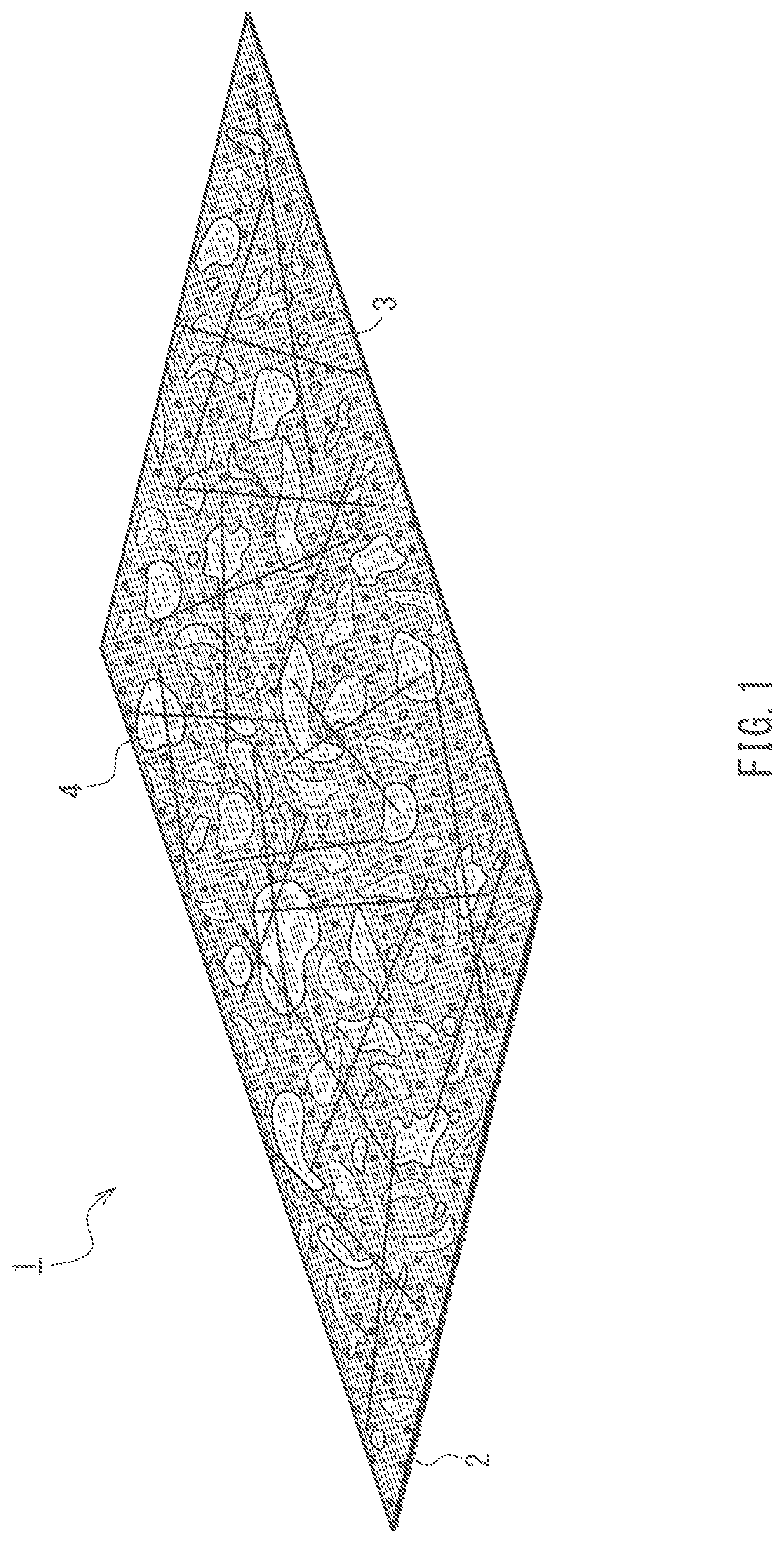 Patent US12319047 Figure 1 – Fiber reinforced resin molded body and method for producing the same