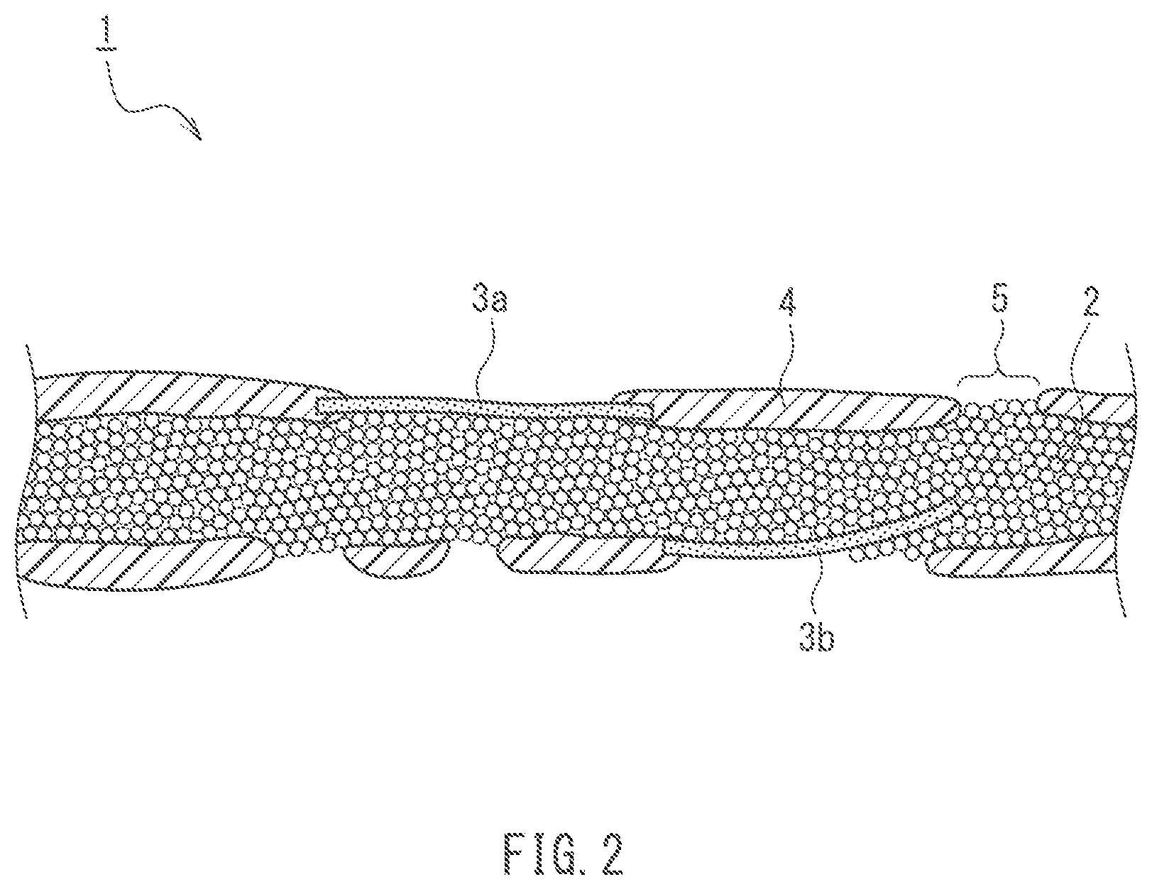 Patent US12319047 Figure 2 – Fiber reinforced resin molded body and method for producing the same