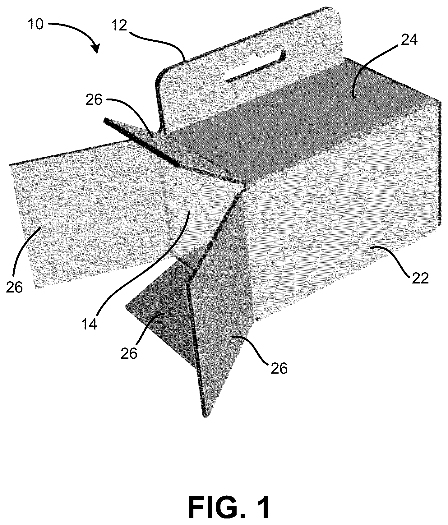 Patent US12319479 Figure 1 – One-piece carton with hang tab