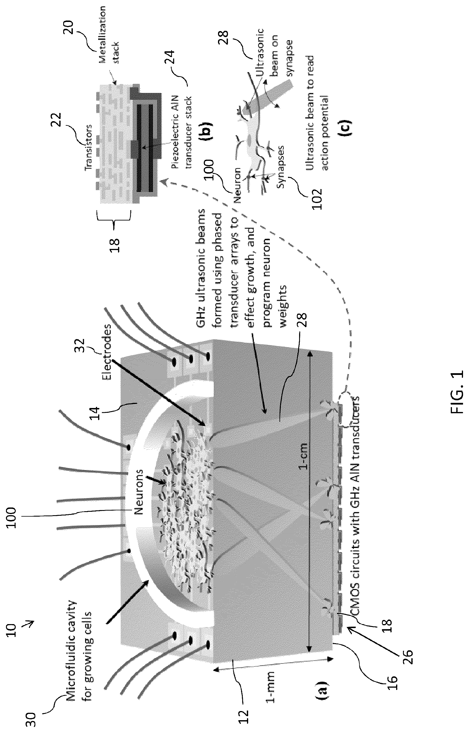 Patent US12319567 Figure 1 – GHz-THz ultrasonics and optics for neurotechnology devices, methods, and applications