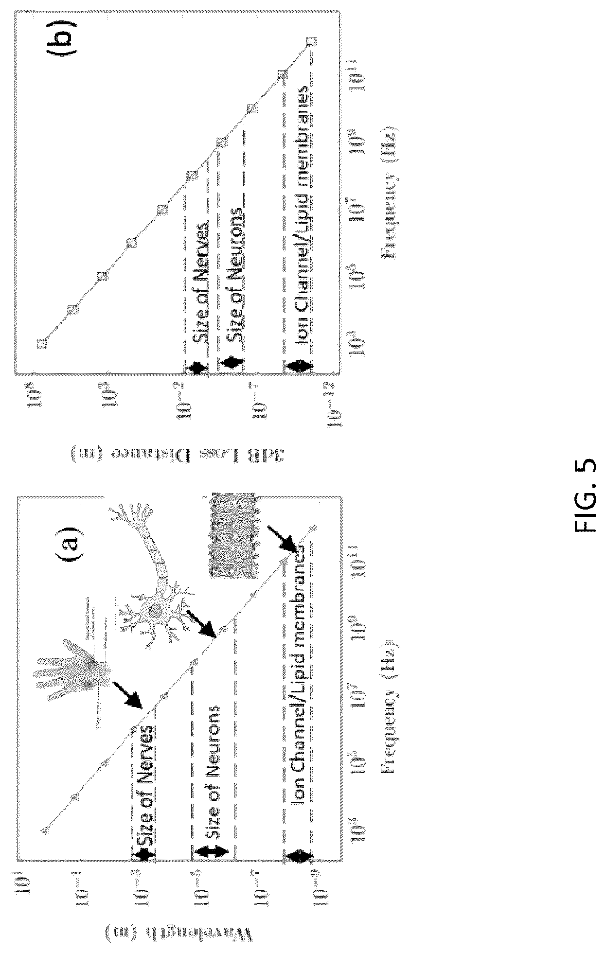 Patent US12319567 Figure 5 – GHz-THz ultrasonics and optics for neurotechnology devices, methods, and applications