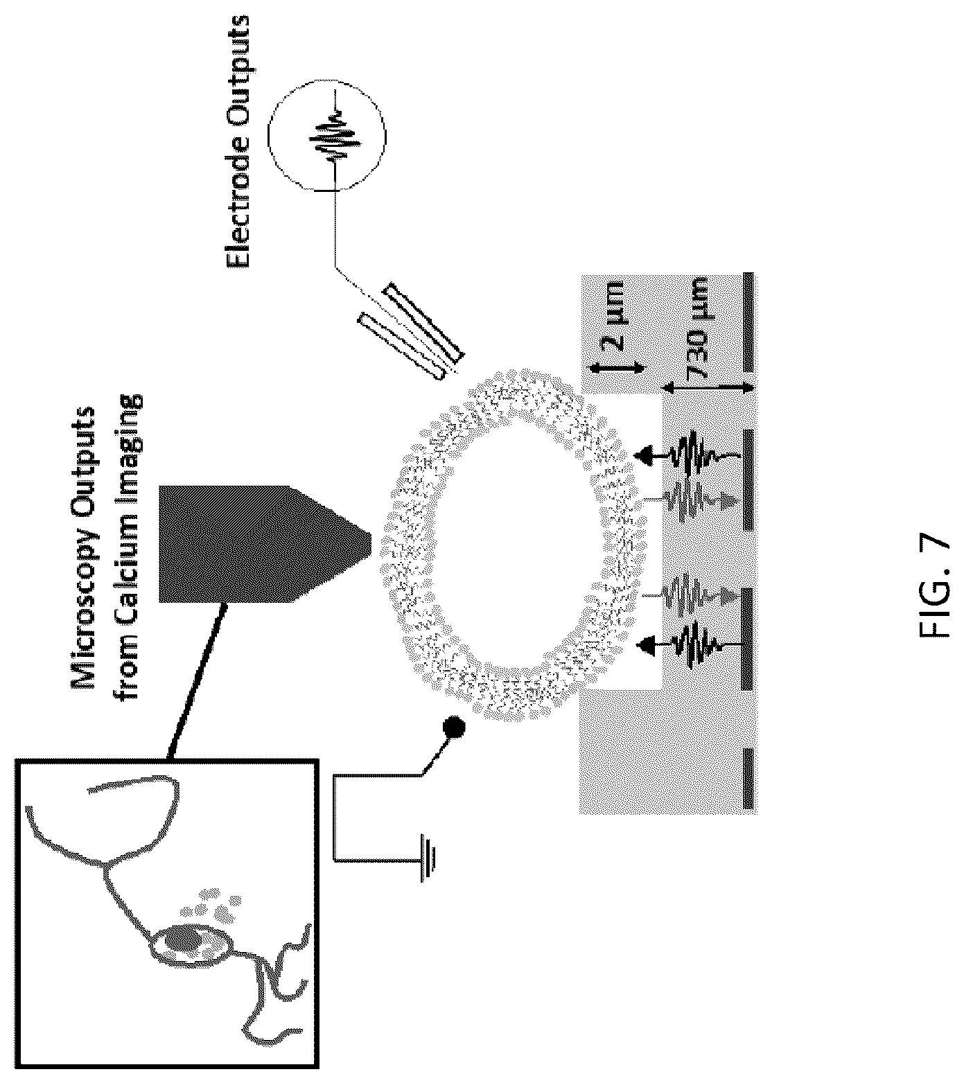 Patent US12319567 Figure 7 – GHz-THz ultrasonics and optics for neurotechnology devices, methods, and applications