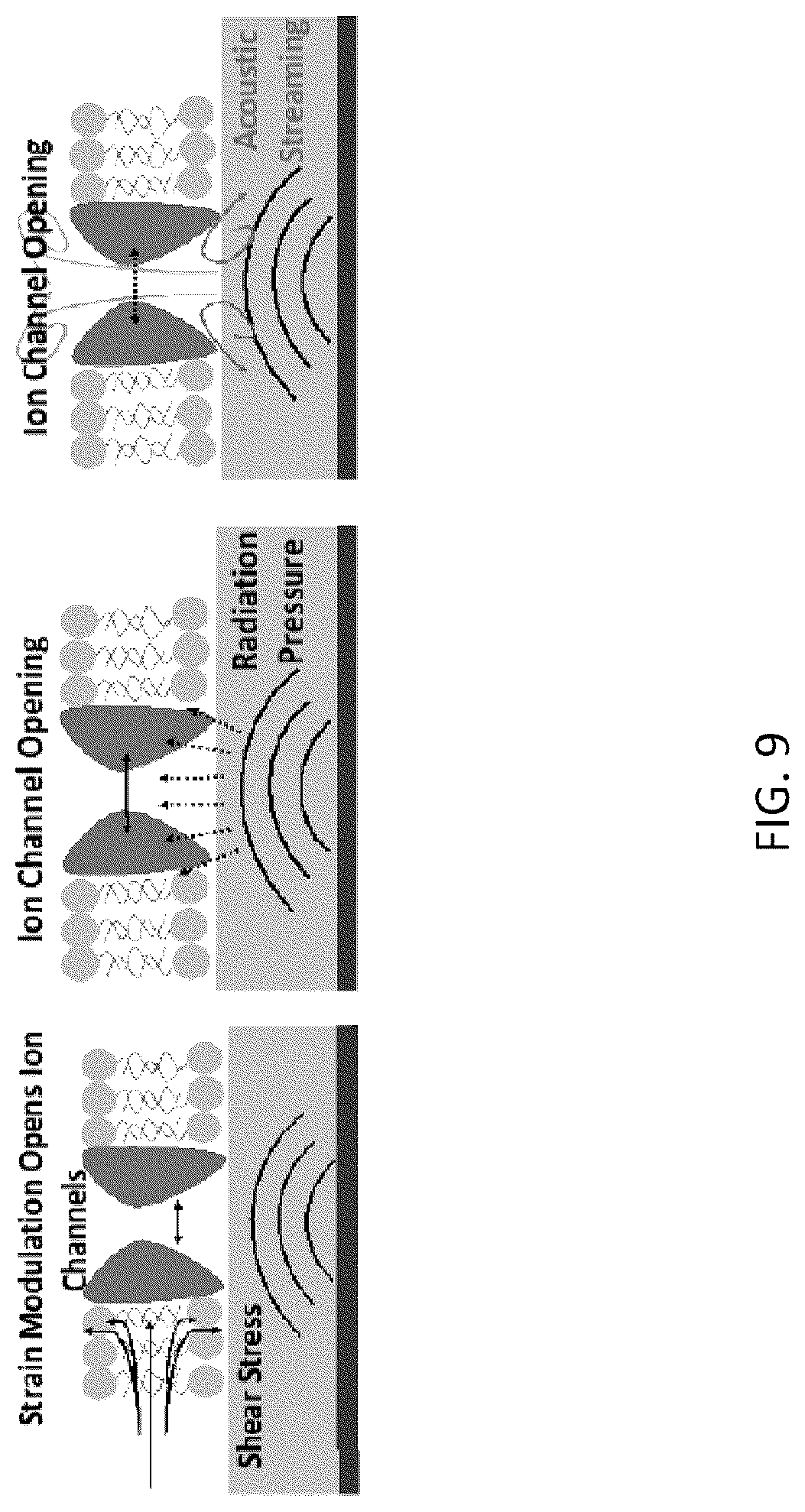 Patent US12319567 Figure 9 – GHz-THz ultrasonics and optics for neurotechnology devices, methods, and applications
