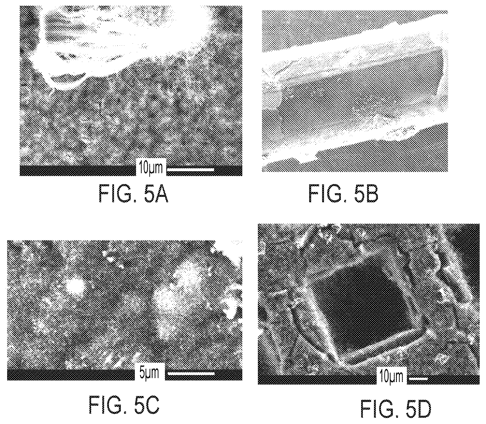 Patent US12319579 Figure 8 – Formation and/or growth of carbon-based nanostructures on copper-containing substrates, and related systems and methods