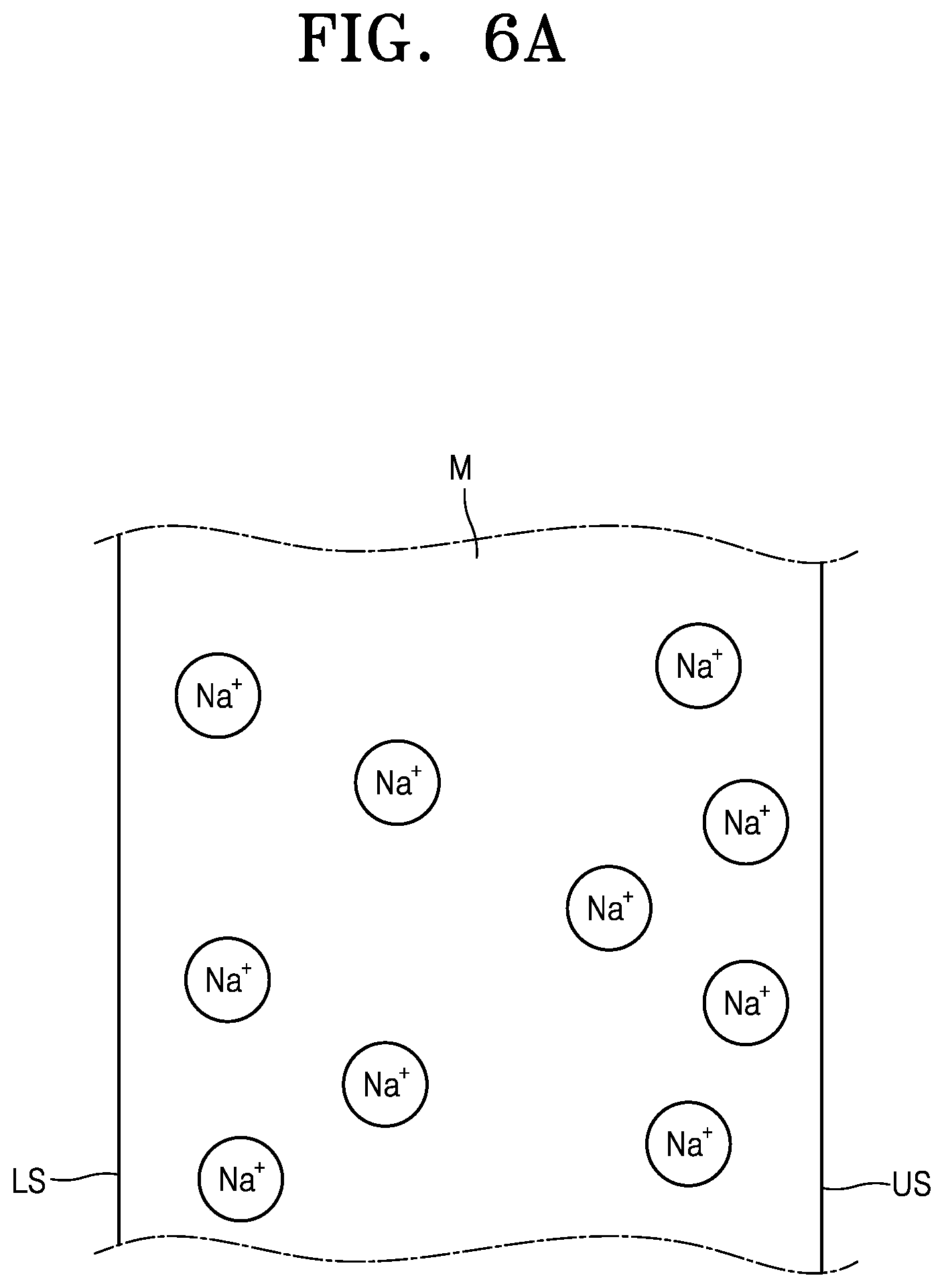 Patent US12319613 Figure 6 – Display apparatus and method of manufacturing the same
