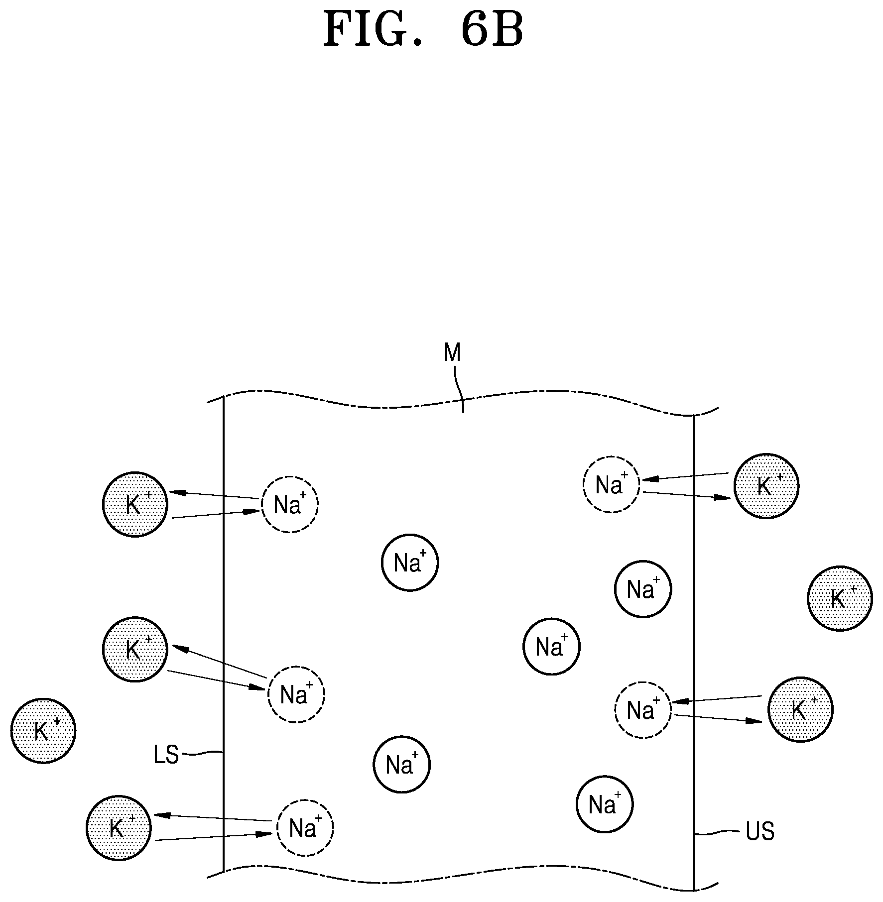 Patent US12319613 Figure 7 – Display apparatus and method of manufacturing the same