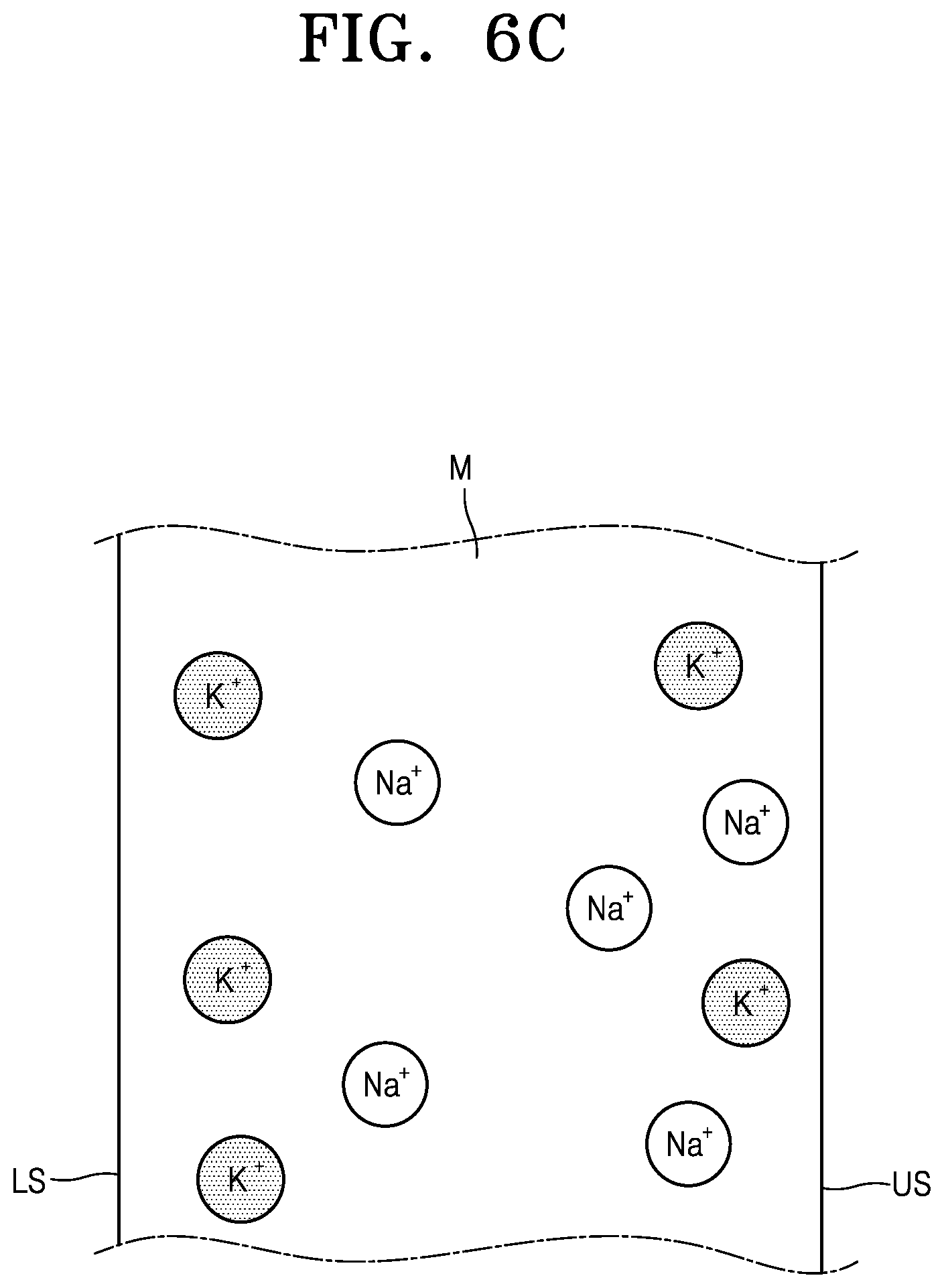 Patent US12319613 Figure 8 – Display apparatus and method of manufacturing the same