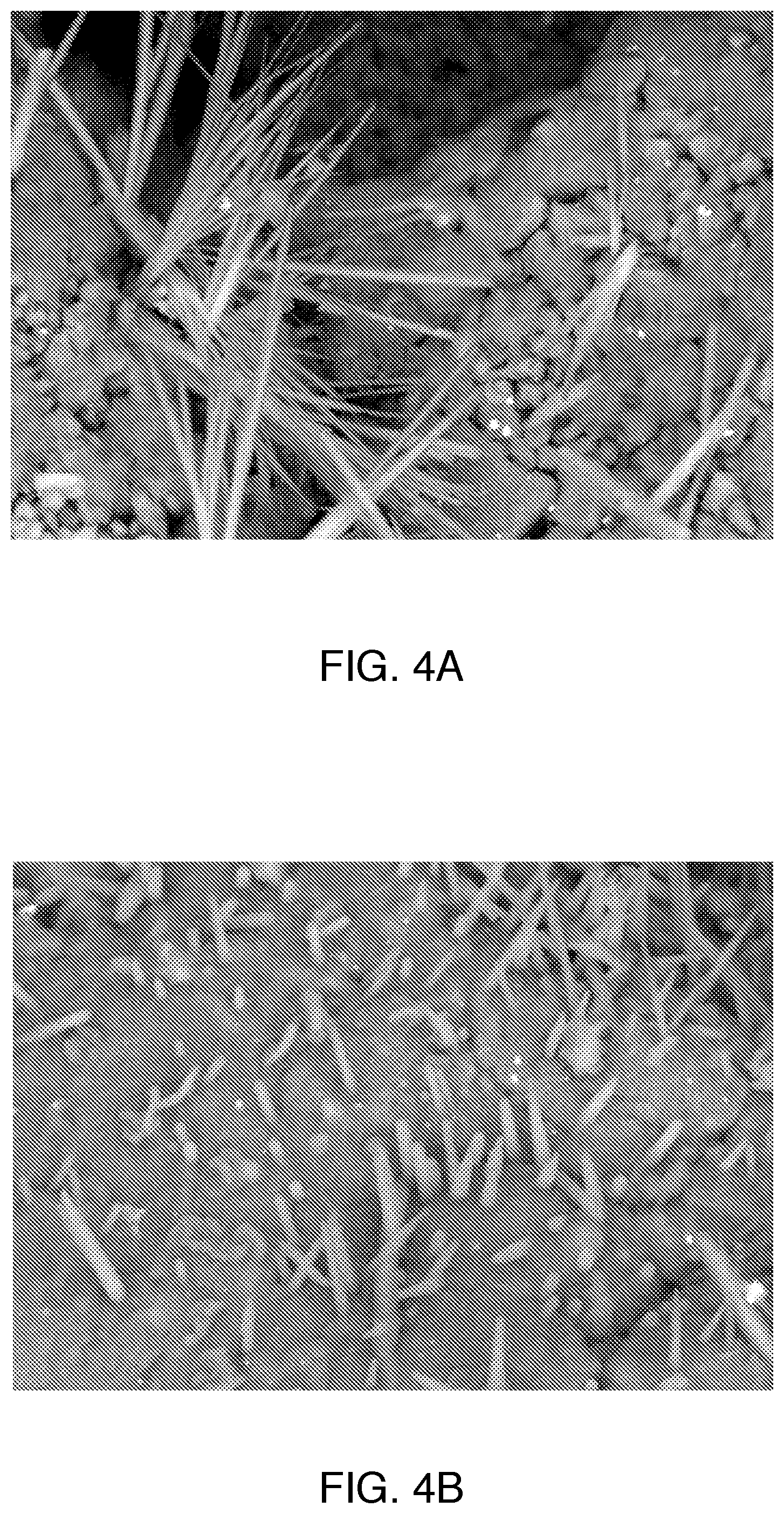 Patent US12319630 Figure 4 – Phlego cement from a new earth-inspired clinker