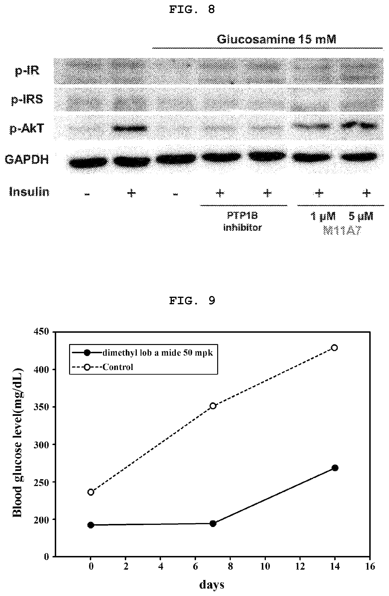 Patent US12319641 Figure 7 – Lobaric acid derivative having PTP-1B inhibitory activity, preparation method therefor and use thereof