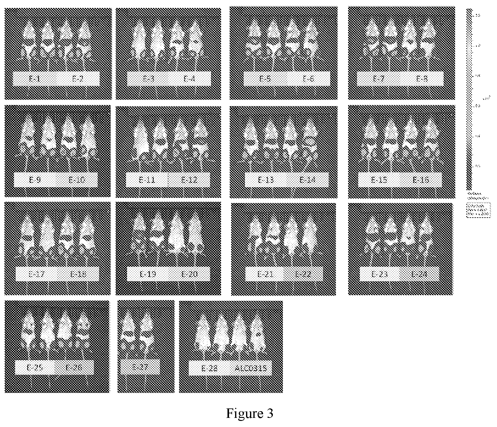 Patent US12319644 Figure 3 – Lipid compound containing carbamate bond and applications thereof
