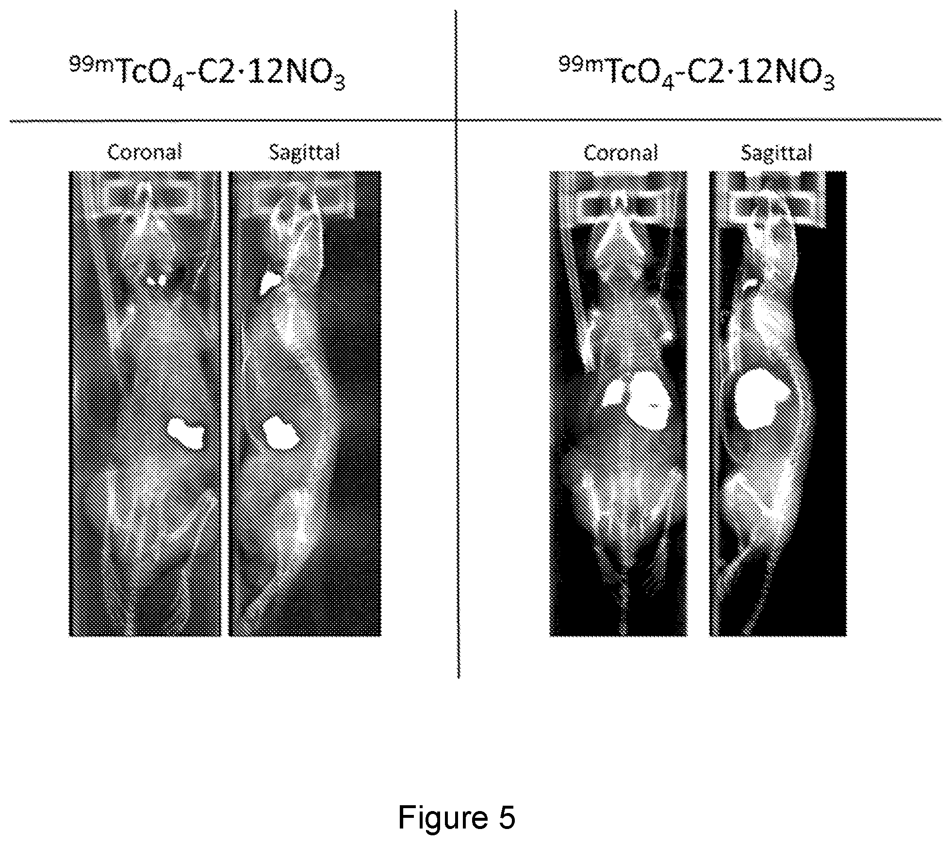 Patent US12319654 Figure 7 – Inert nanocapsules