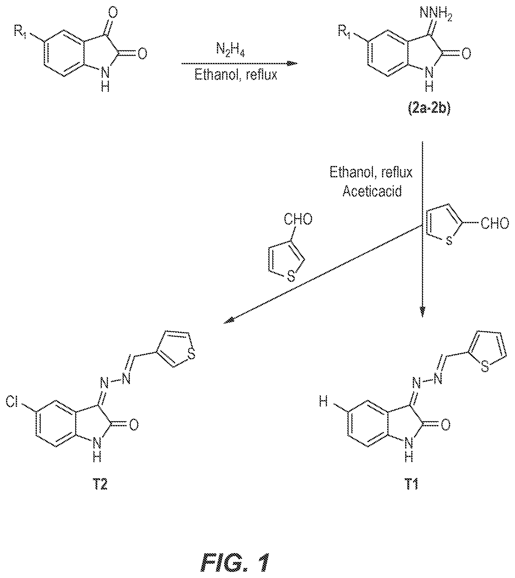 Patent US12319674 Figure 1 – Isatin derivatives