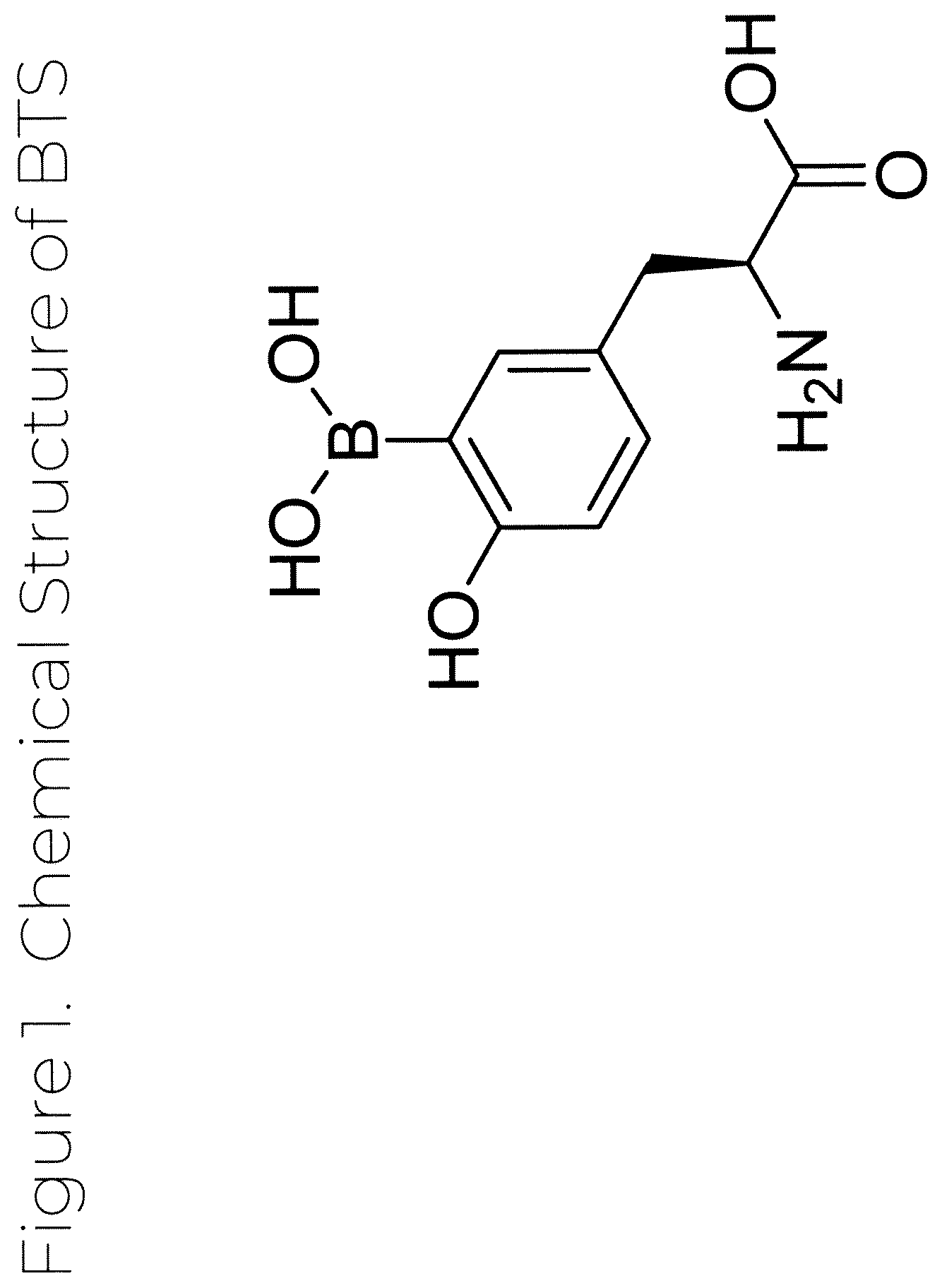 Patent US12319707 Figure 1 – Dosage unit form(s) comprising BTS and BTS(OMe) for use in boron neutron capture therapy and methods thereof