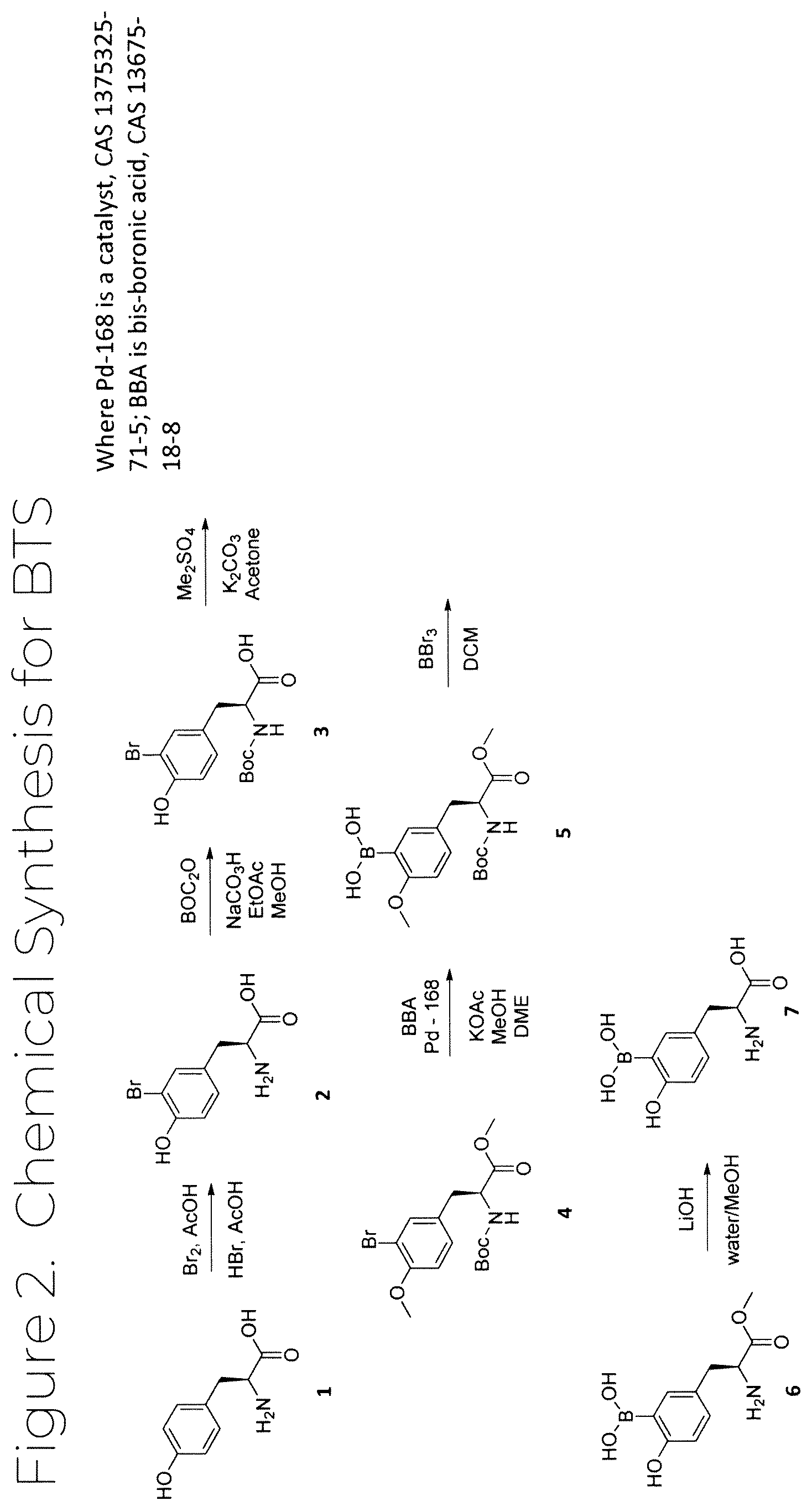 Patent US12319707 Figure 2 – Dosage unit form(s) comprising BTS and BTS(OMe) for use in boron neutron capture therapy and methods thereof