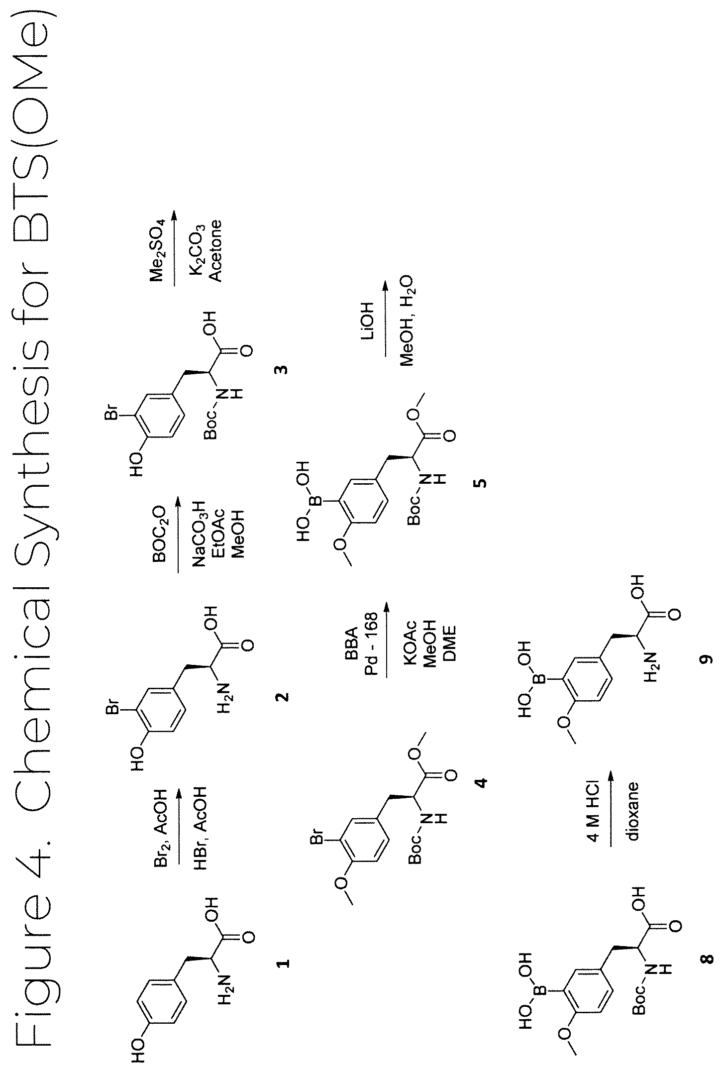 Patent US12319707 Figure 4 – Dosage unit form(s) comprising BTS and BTS(OMe) for use in boron neutron capture therapy and methods thereof