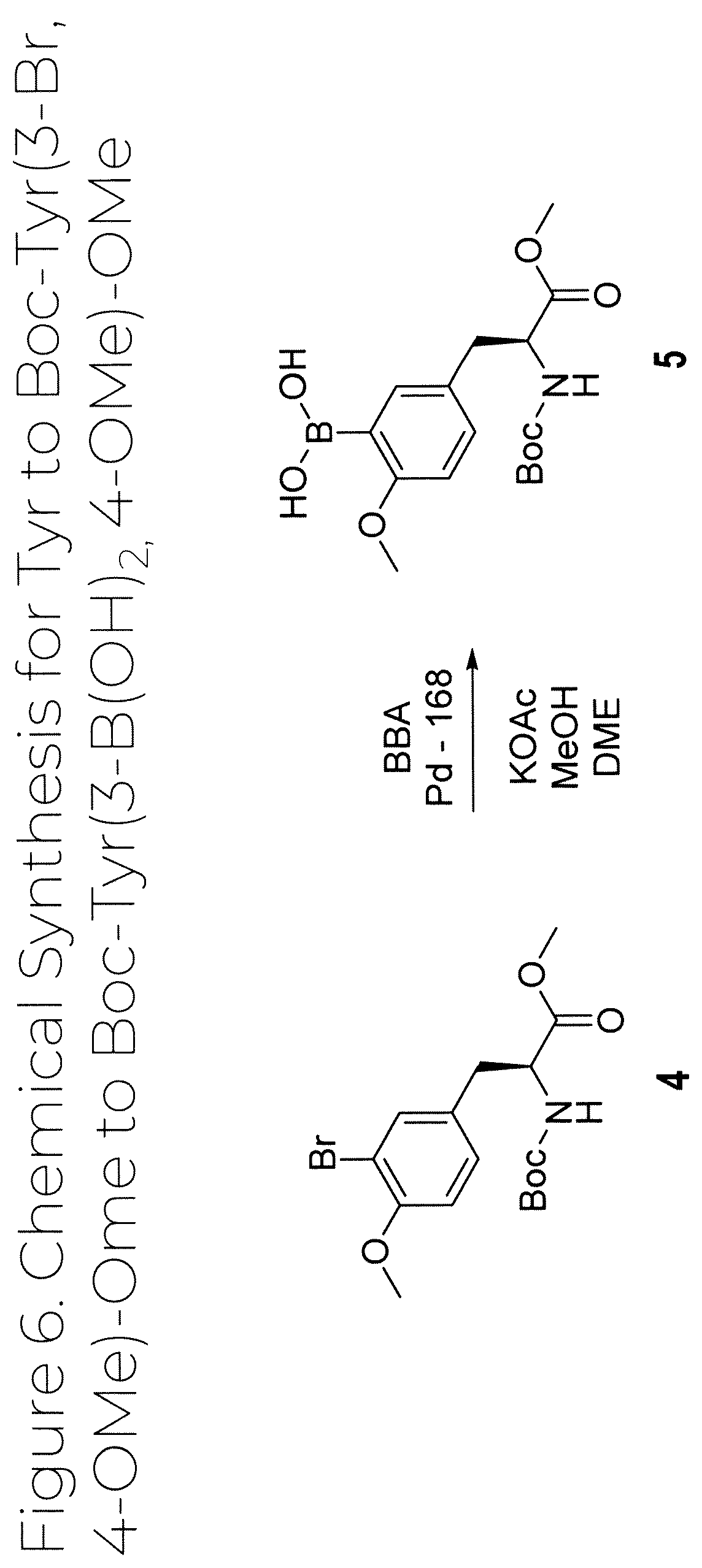 Patent US12319707 Figure 6 – Dosage unit form(s) comprising BTS and BTS(OMe) for use in boron neutron capture therapy and methods thereof
