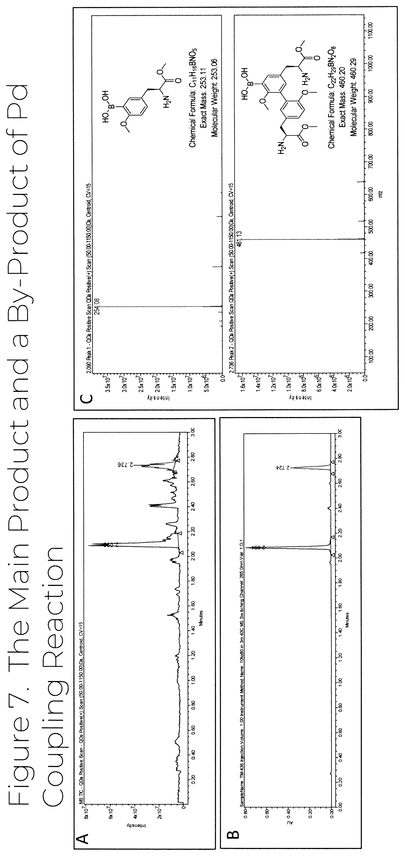 Patent US12319707 Figure 7 – Dosage unit form(s) comprising BTS and BTS(OMe) for use in boron neutron capture therapy and methods thereof