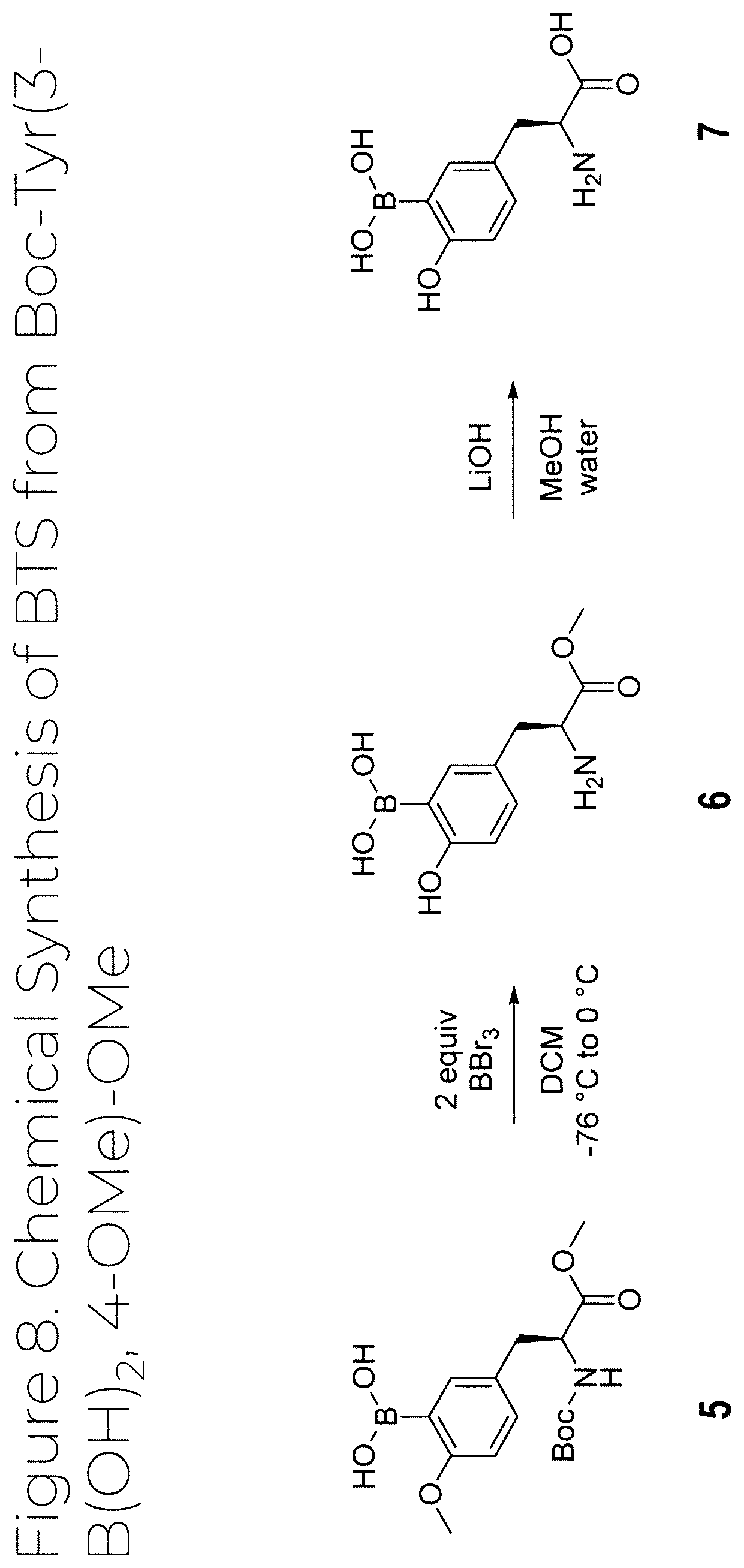 Patent US12319707 Figure 8 – Dosage unit form(s) comprising BTS and BTS(OMe) for use in boron neutron capture therapy and methods thereof