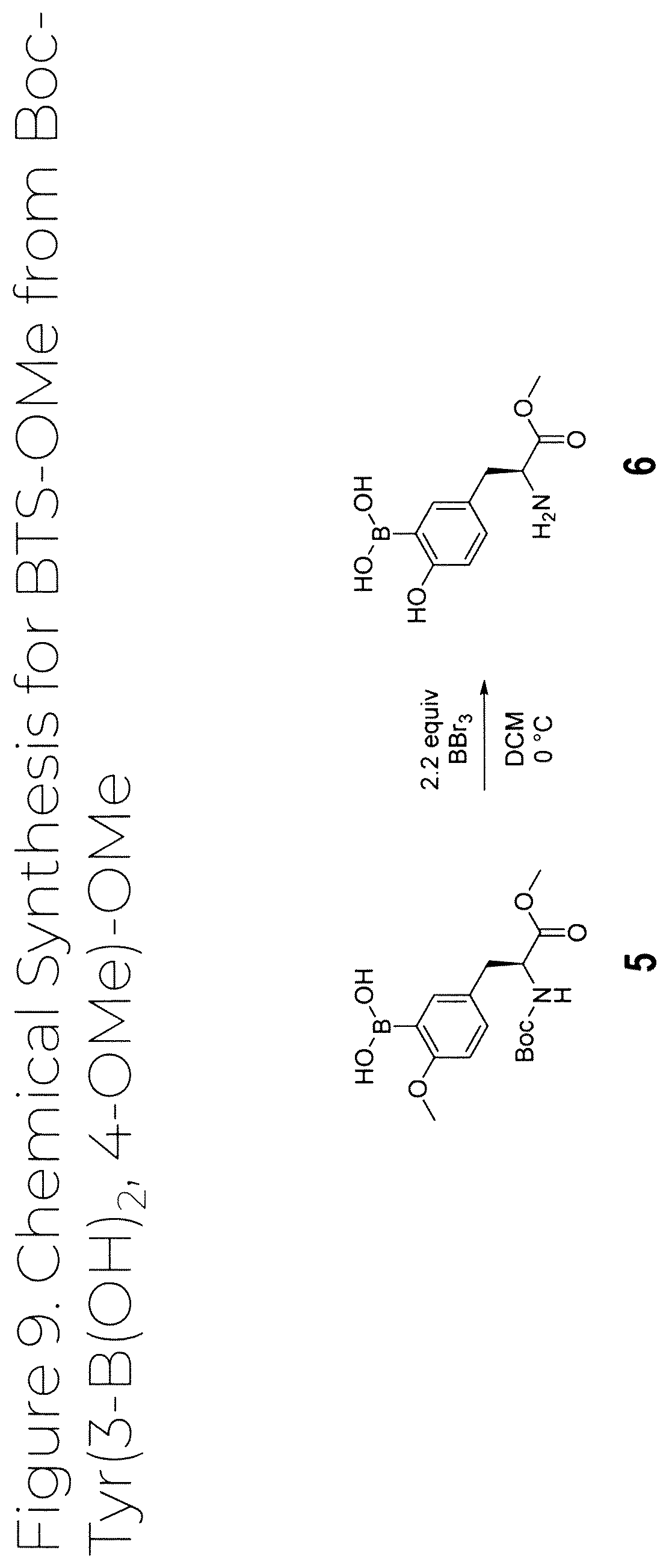 Patent US12319707 Figure 9 – Dosage unit form(s) comprising BTS and BTS(OMe) for use in boron neutron capture therapy and methods thereof