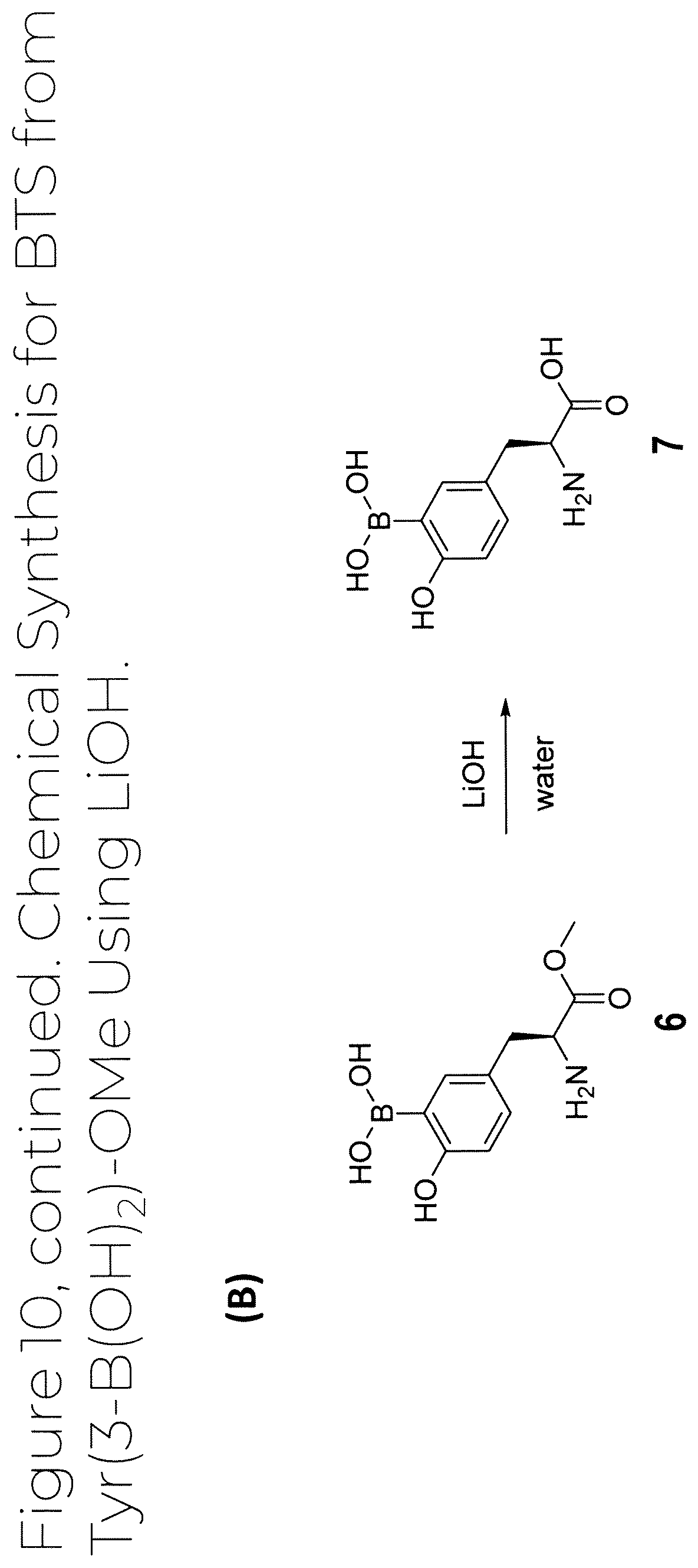 Patent US12319707 Figure 11 – Dosage unit form(s) comprising BTS and BTS(OMe) for use in boron neutron capture therapy and methods thereof