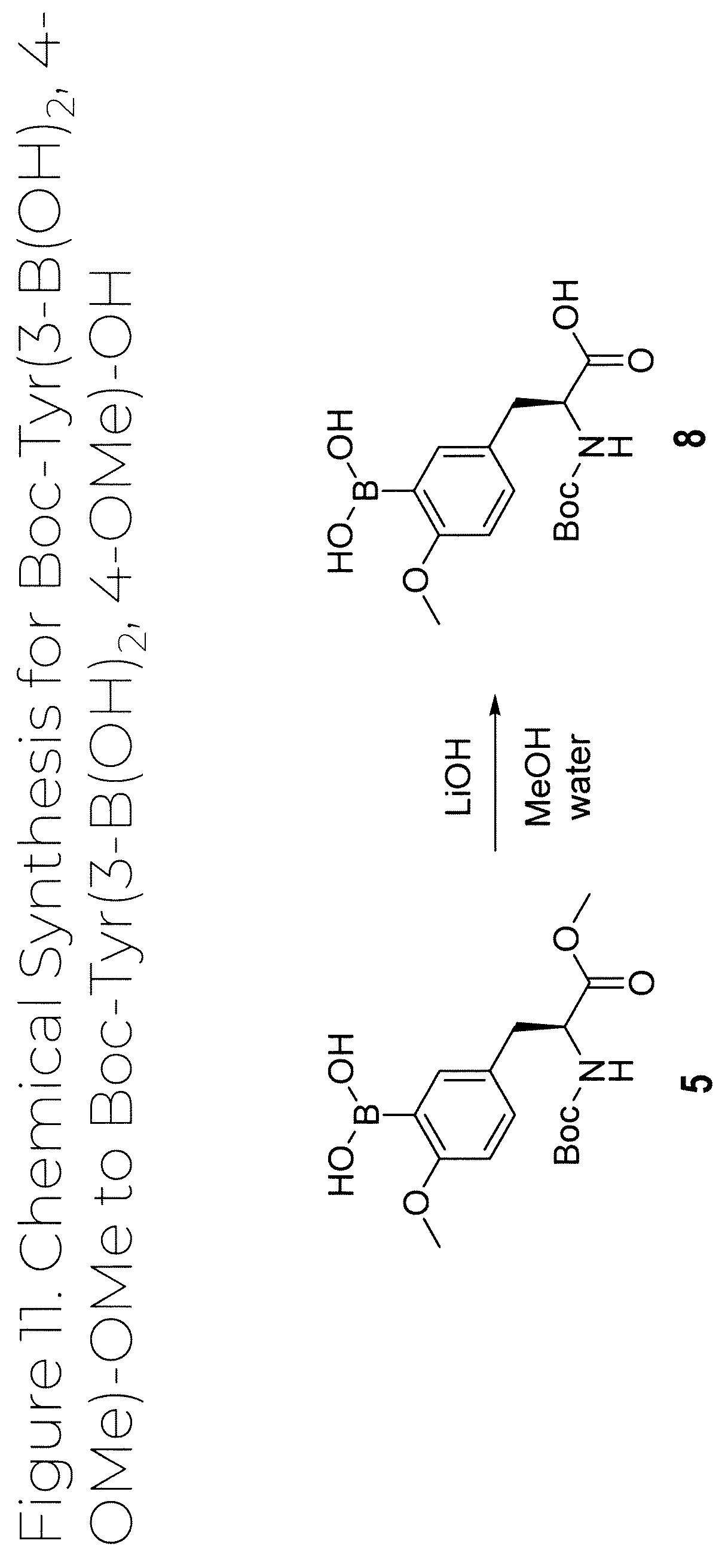Patent US12319707 Figure 12 – Dosage unit form(s) comprising BTS and BTS(OMe) for use in boron neutron capture therapy and methods thereof