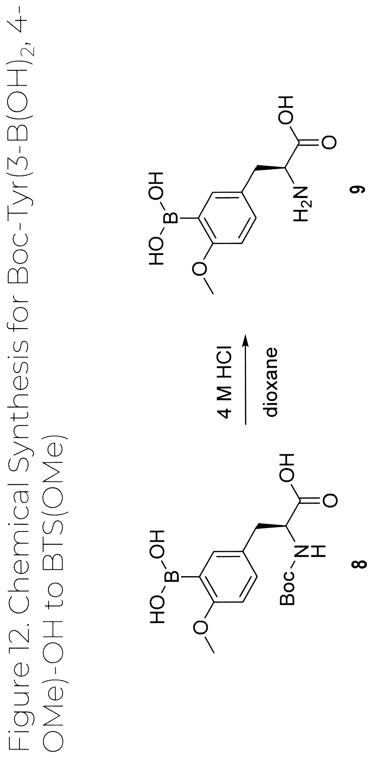 Patent US12319707 Figure 13 – Dosage unit form(s) comprising BTS and BTS(OMe) for use in boron neutron capture therapy and methods thereof