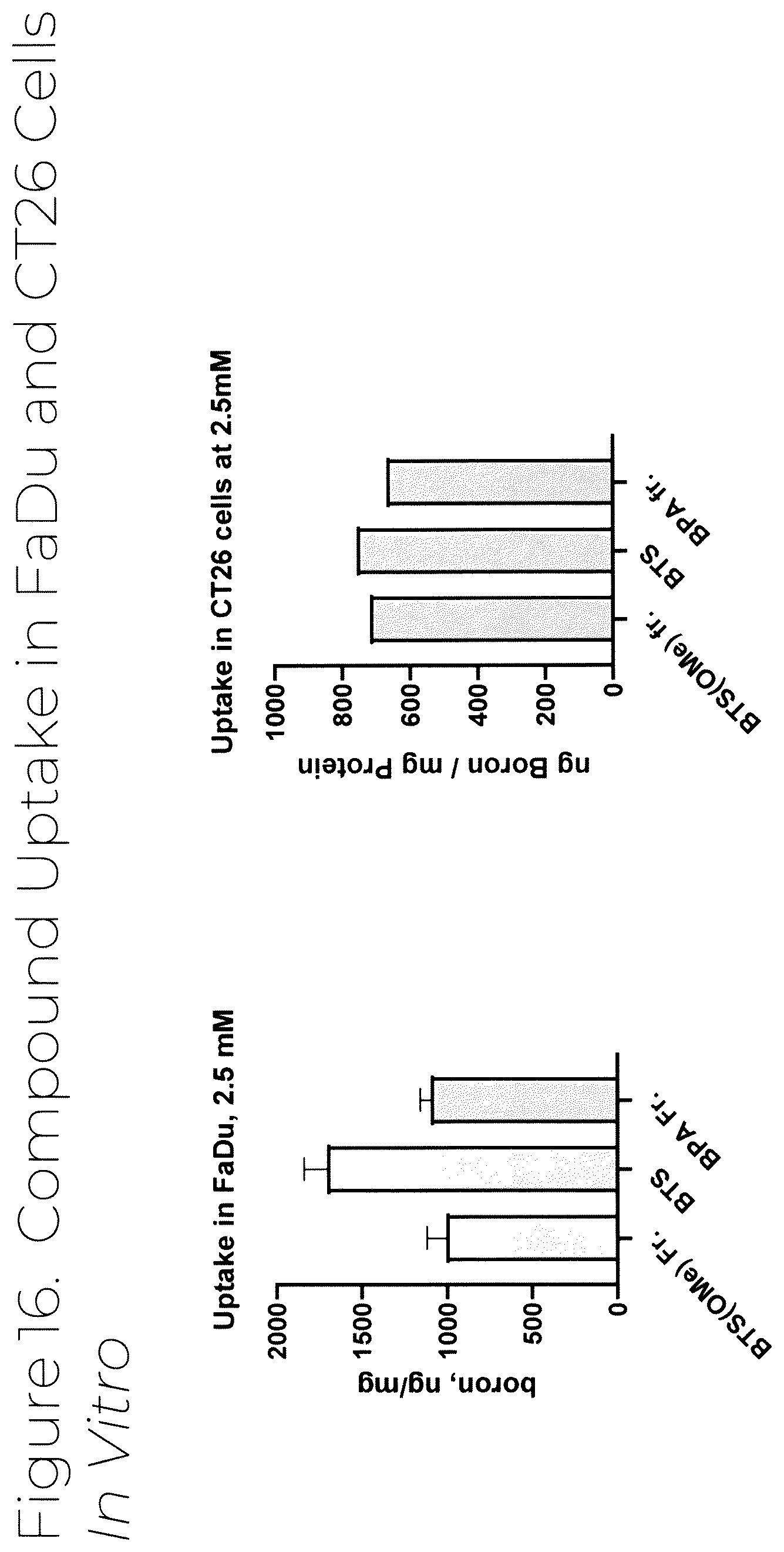 Patent US12319707 Figure 17 – Dosage unit form(s) comprising BTS and BTS(OMe) for use in boron neutron capture therapy and methods thereof