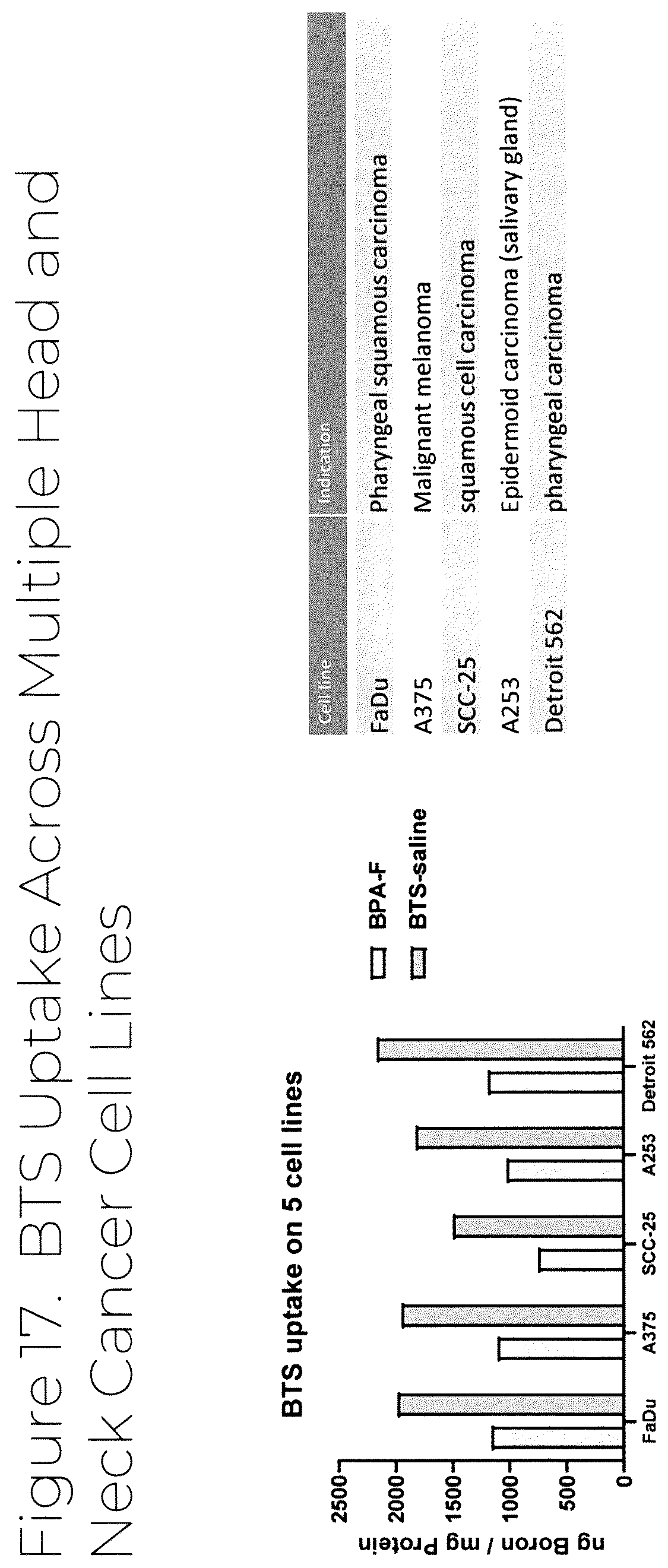Patent US12319707 Figure 18 – Dosage unit form(s) comprising BTS and BTS(OMe) for use in boron neutron capture therapy and methods thereof