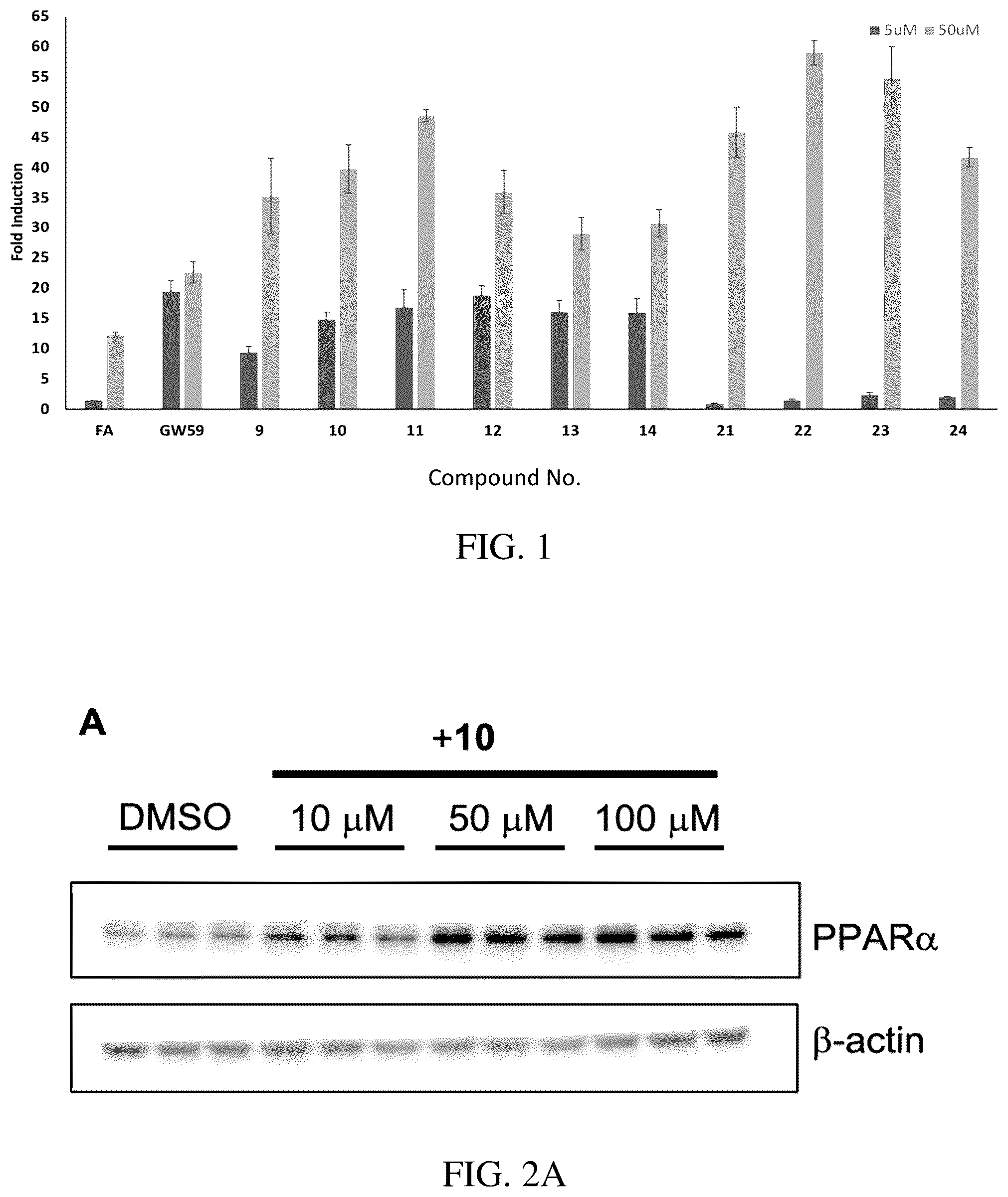 Patent US12319708 Figure 1 – Agonists of peroxisome proliferator-activated receptor alpha (PPARα) and methods of use