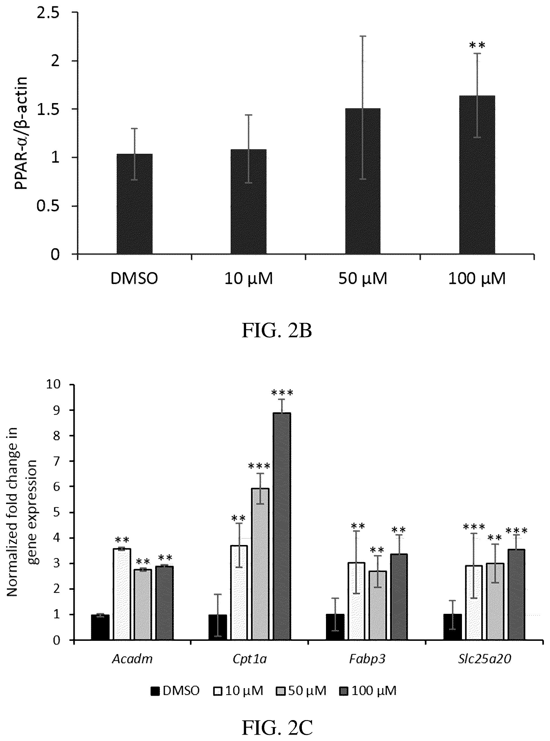 Patent US12319708 Figure 2 – Agonists of peroxisome proliferator-activated receptor alpha (PPARα) and methods of use