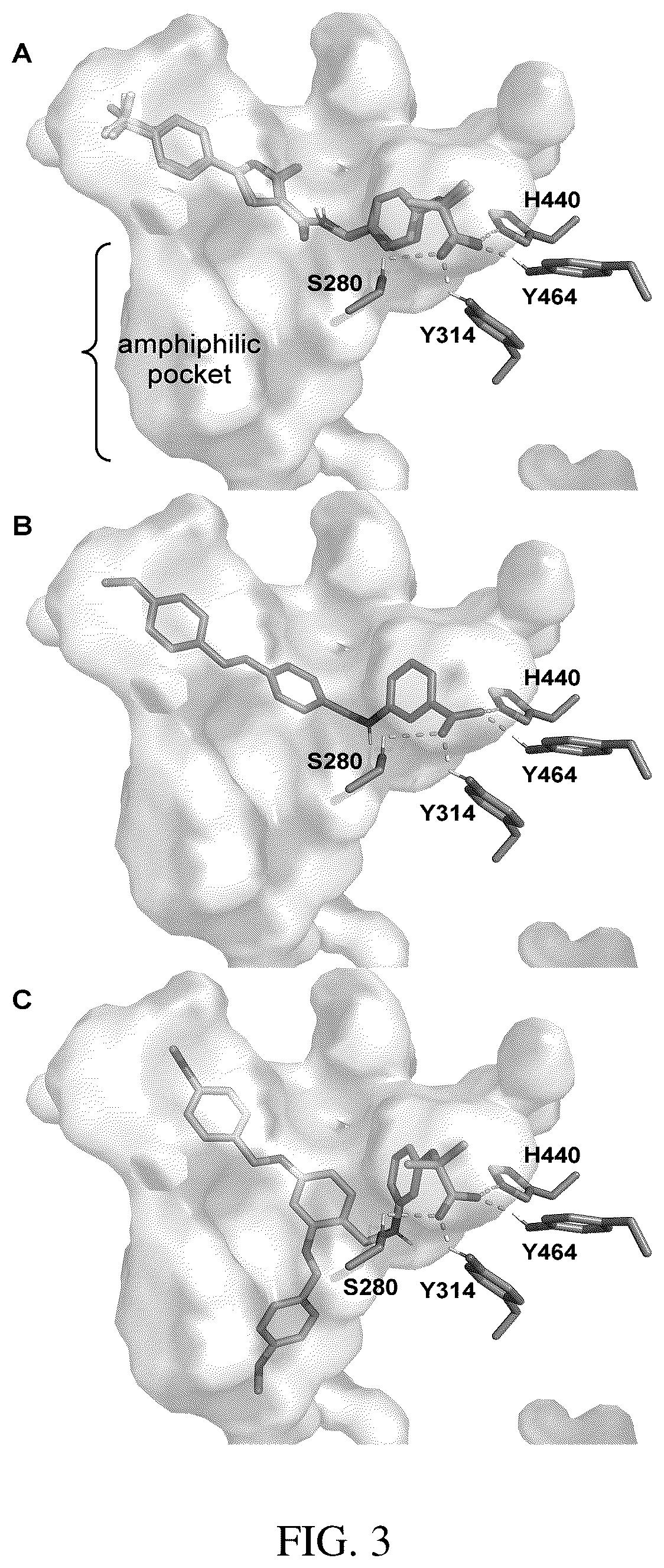 Patent US12319708 Figure 4 – Agonists of peroxisome proliferator-activated receptor alpha (PPARα) and methods of use