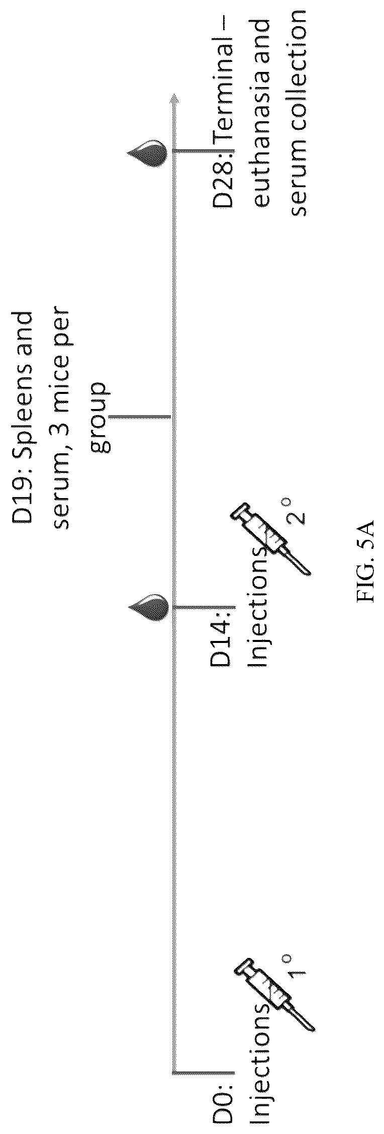 Patent US12319709 Figure 7 – Diaryl trehalose compounds and uses thereof