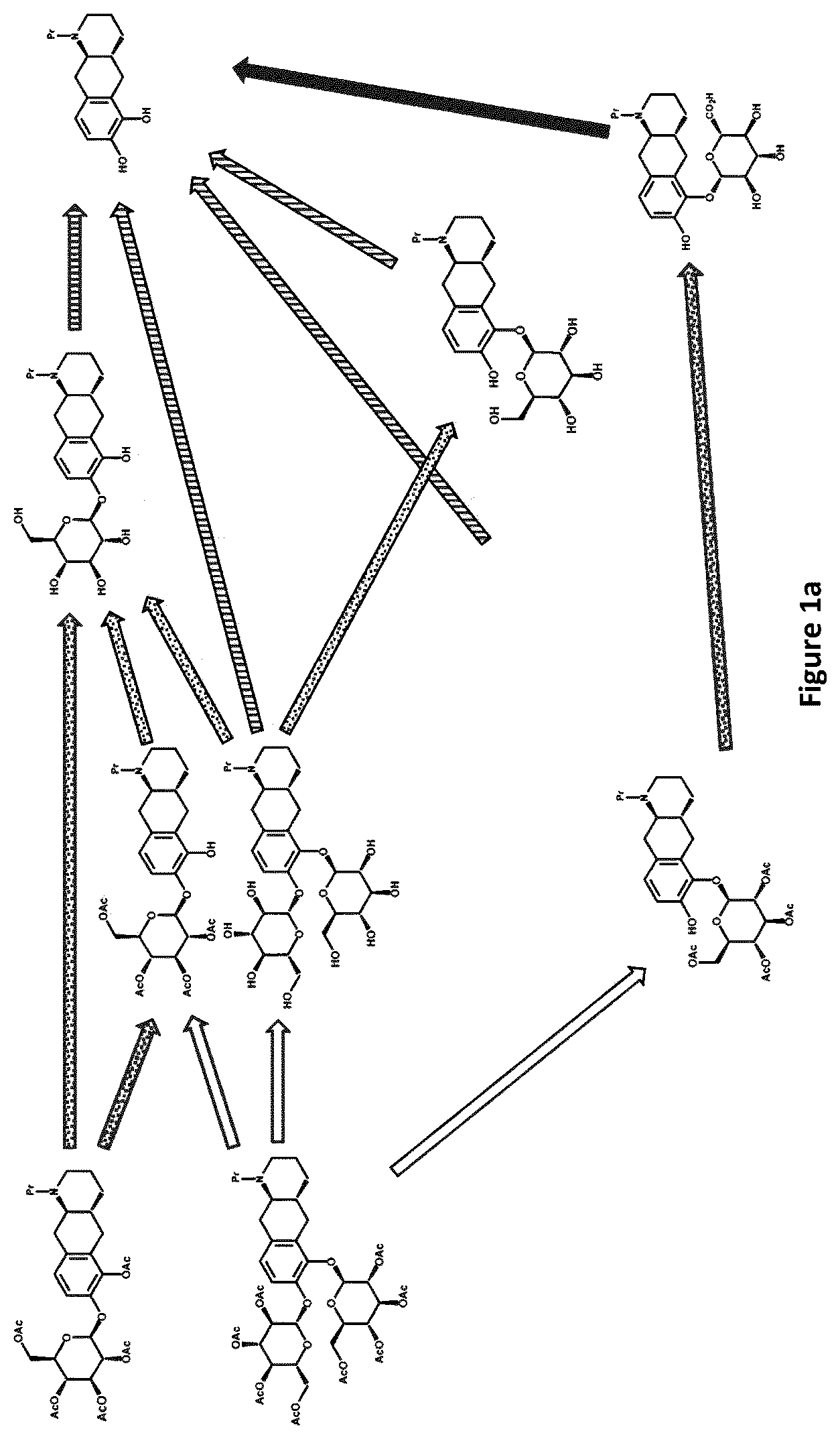 Patent US12319710 Figure 1 – Catecholamine prodrugs for use in the treatment of Parkinson's diseases
