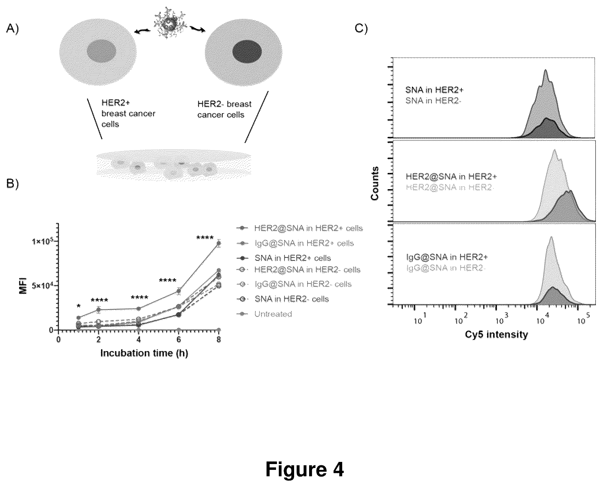 Patent US12319711 Figure 4 – Spherical nucleic acids with tailored and active protein coronae