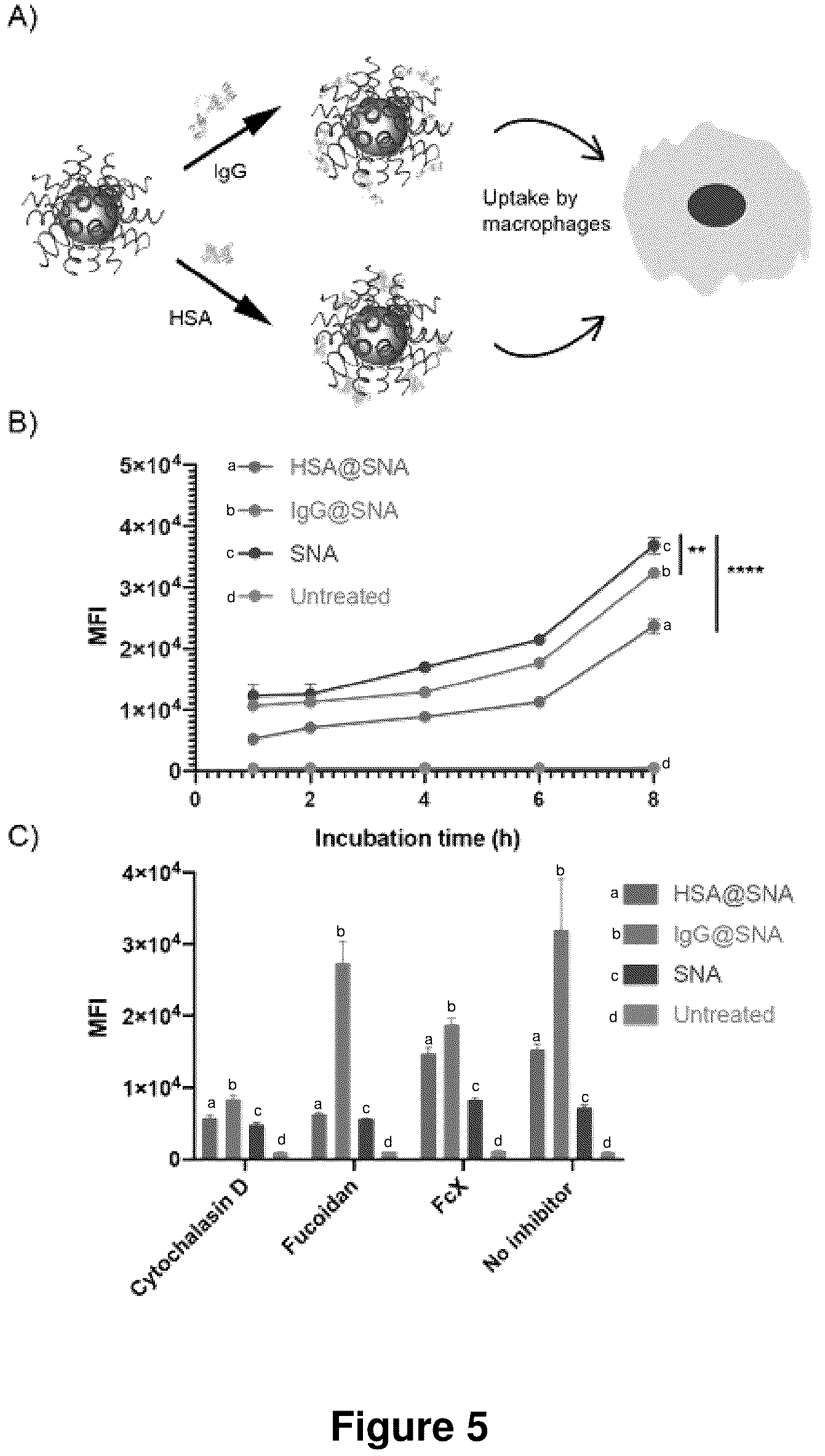 Patent US12319711 Figure 5 – Spherical nucleic acids with tailored and active protein coronae