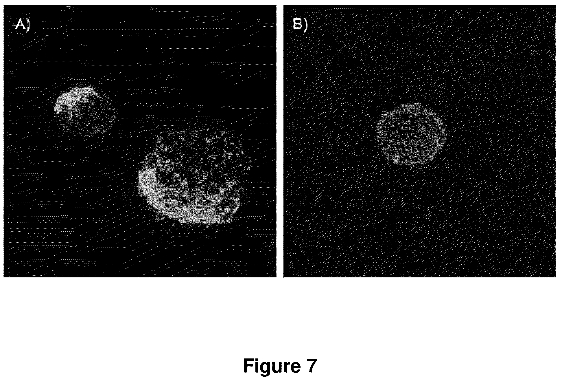 Patent US12319711 Figure 7 – Spherical nucleic acids with tailored and active protein coronae