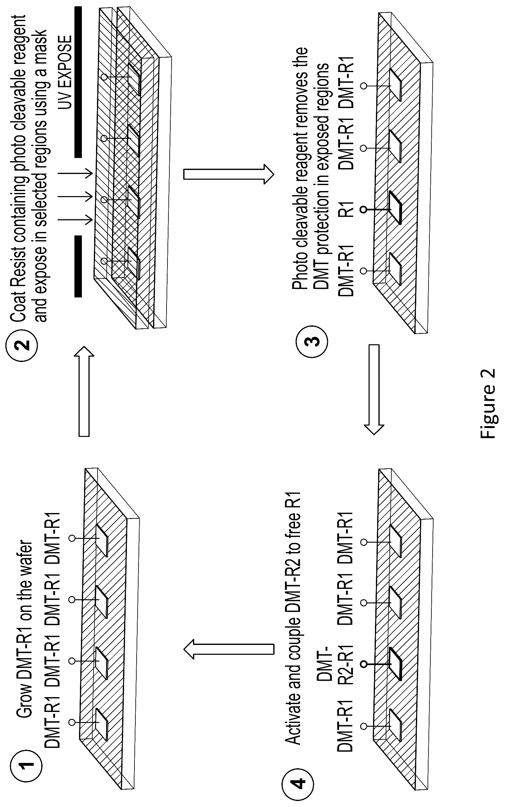 Patent US12319712 Figure 2 – Methods of synthesizing a polynucleotide array using photoactivated agents