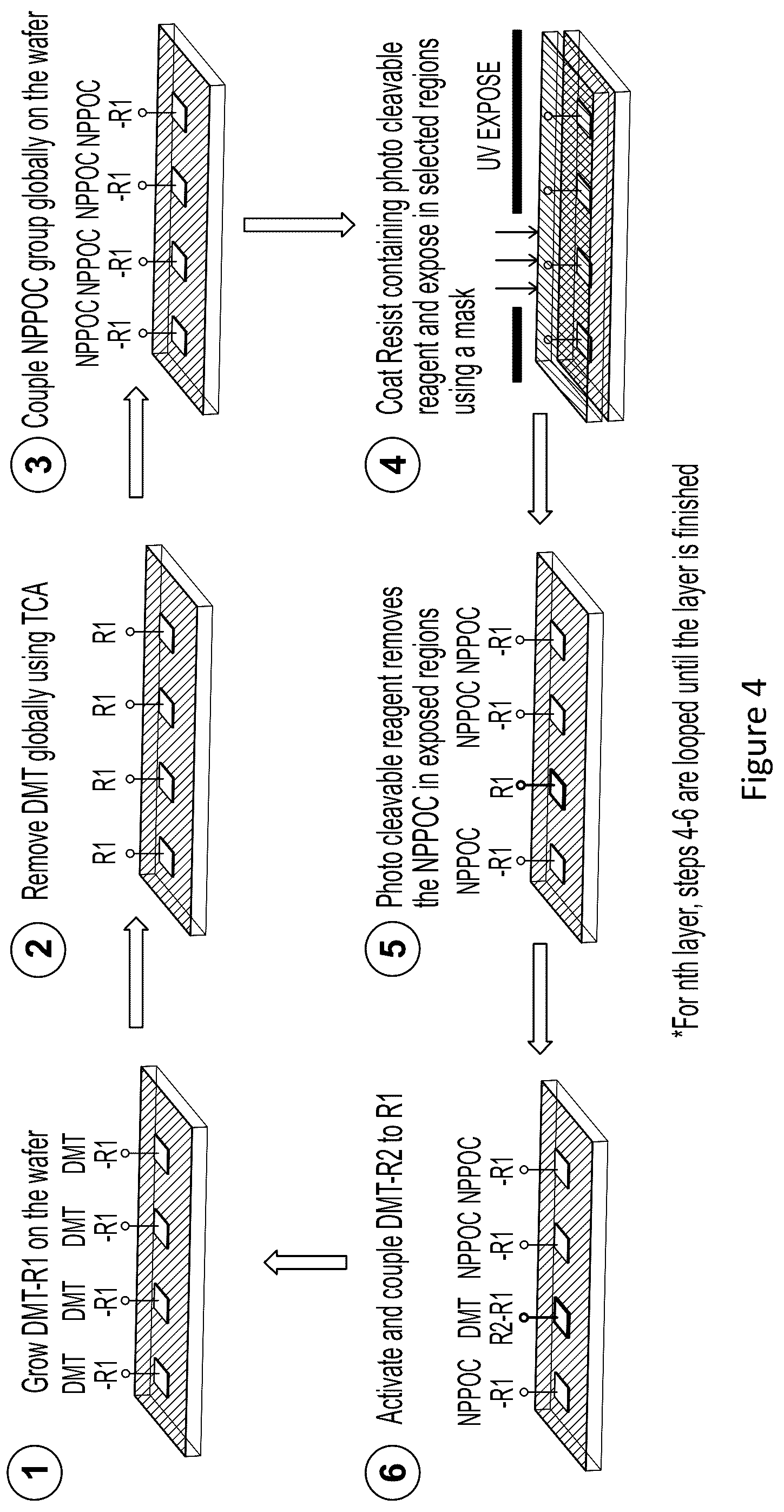 Patent US12319712 Figure 4 – Methods of synthesizing a polynucleotide array using photoactivated agents