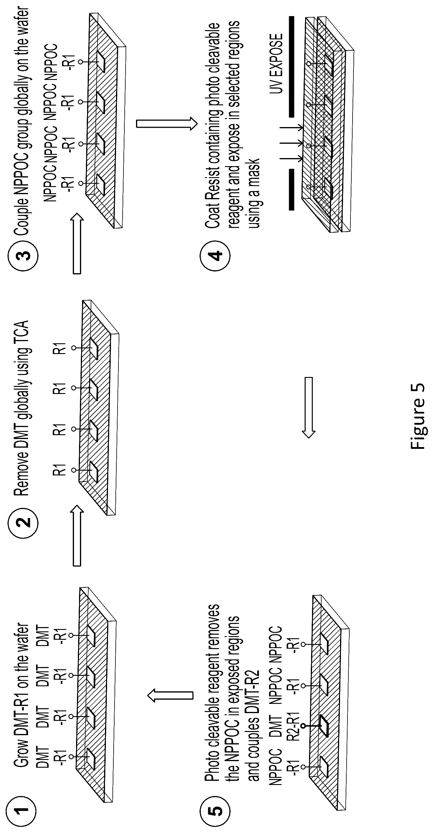 Patent US12319712 Figure 5 – Methods of synthesizing a polynucleotide array using photoactivated agents