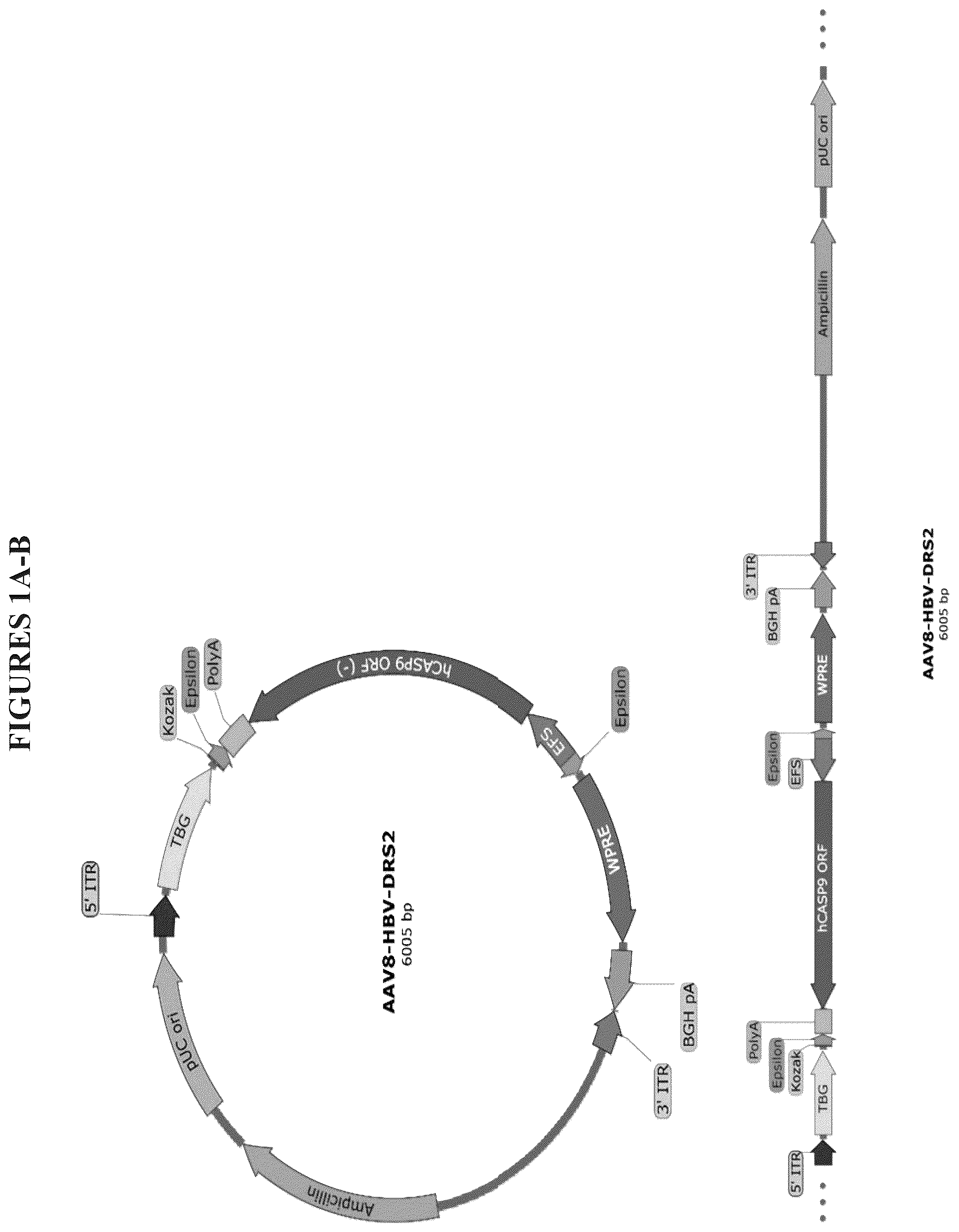Patent US12319714 Figure 1 – Compositions and methods for treating viral infections